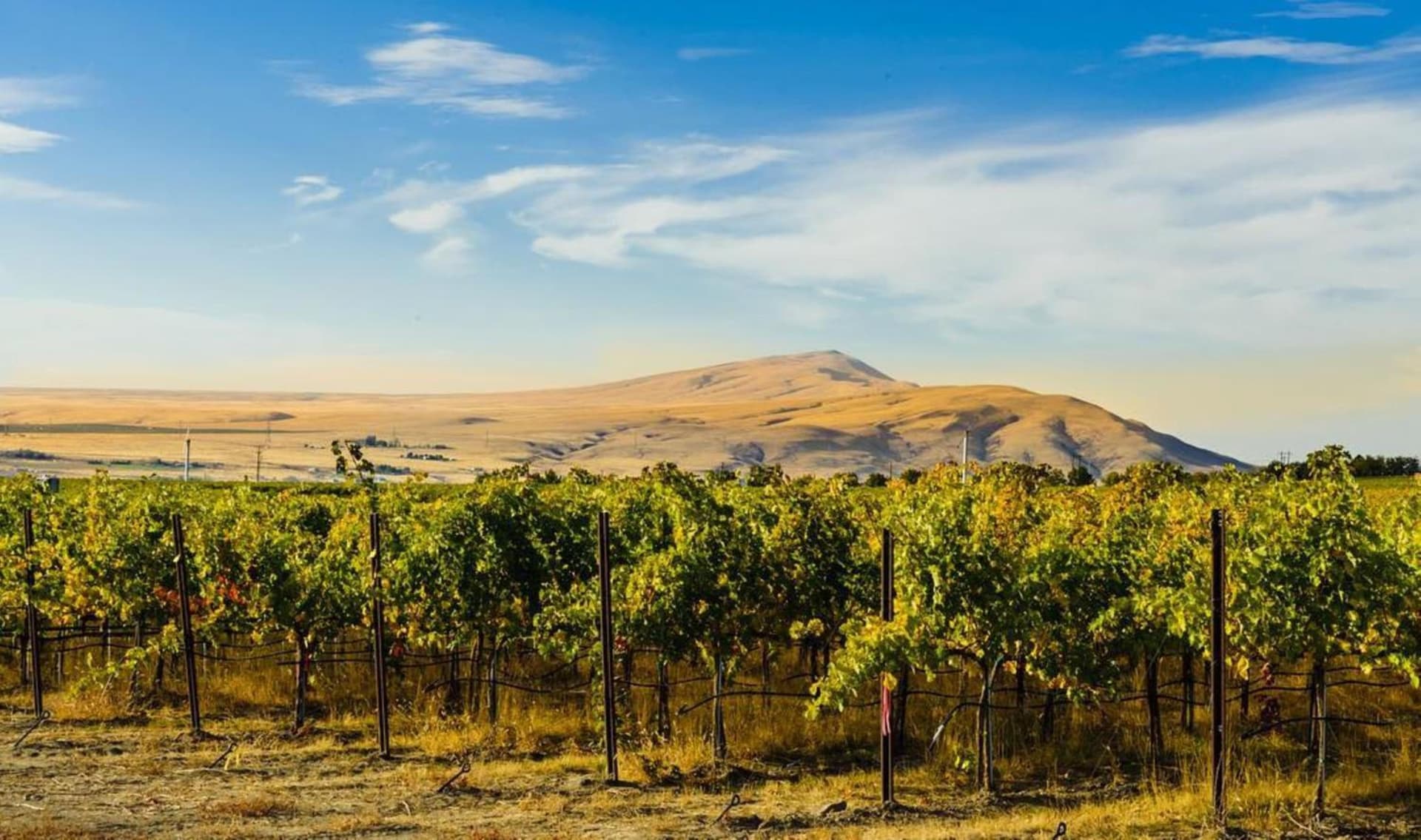 Holiday Inn Express & Suites - Union Gap - Yakima Area by IHG gallery photo in Union Gap, WA — image 25