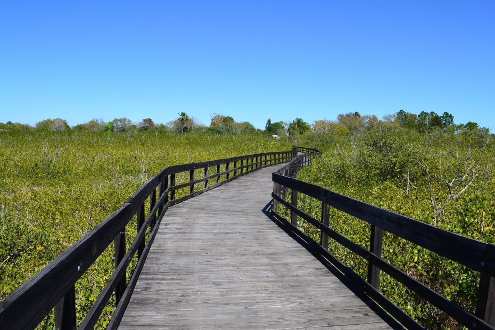 Holiday Inn Express Hotel & Suites Tampa-Oldsmar by IHG gallery photo in Oldsmar, FL — image 8