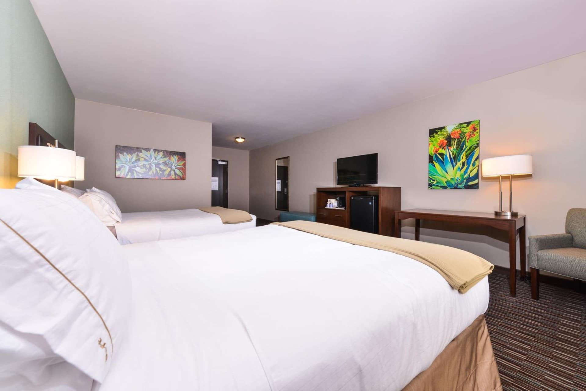 Holiday Inn Express & Suites Indio - Coachella Valley by IHG gallery photo in Indio, CA — image 30