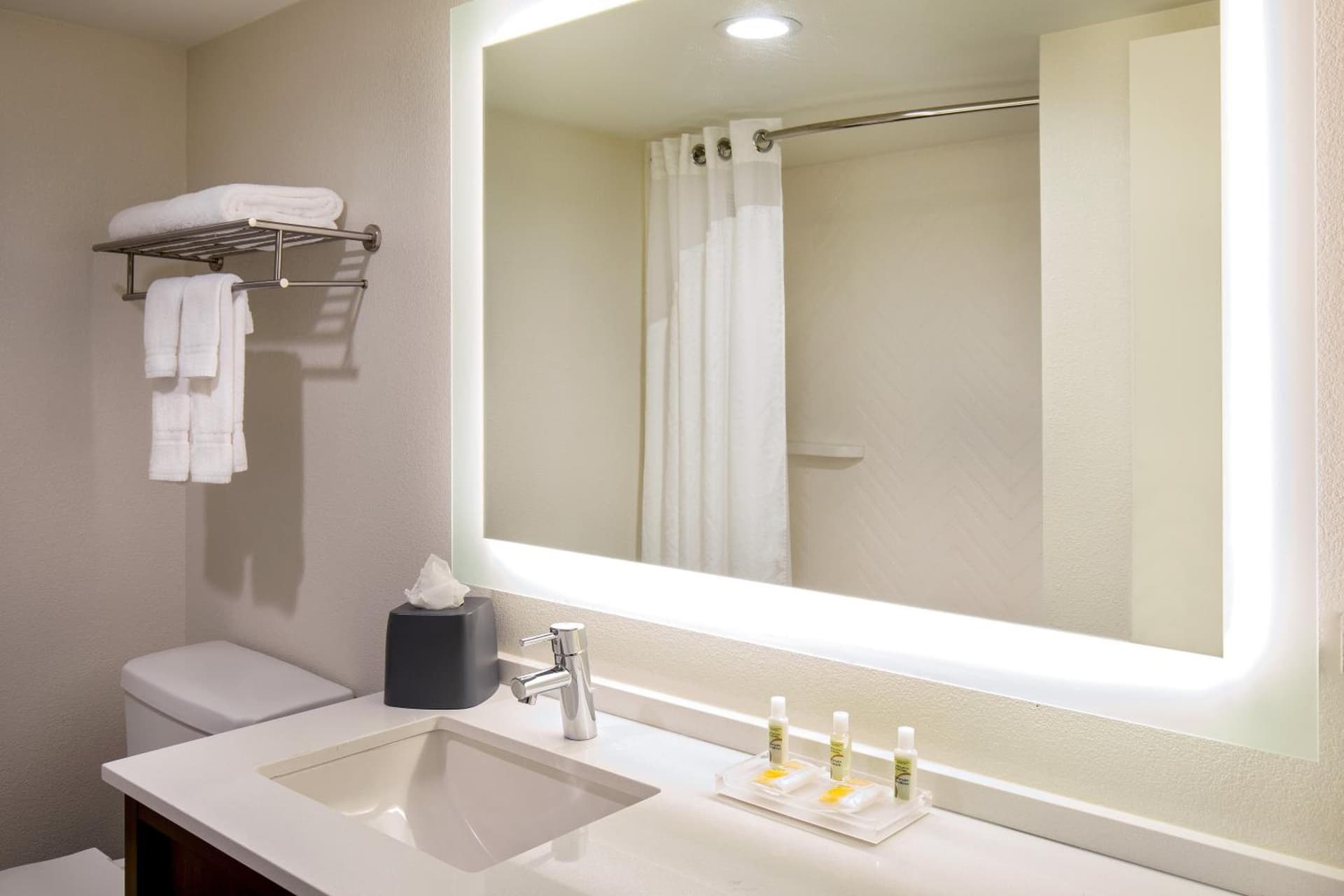 Holiday Inn Newport News - Hampton by IHG gallery photo in Newport News, VA — image 28