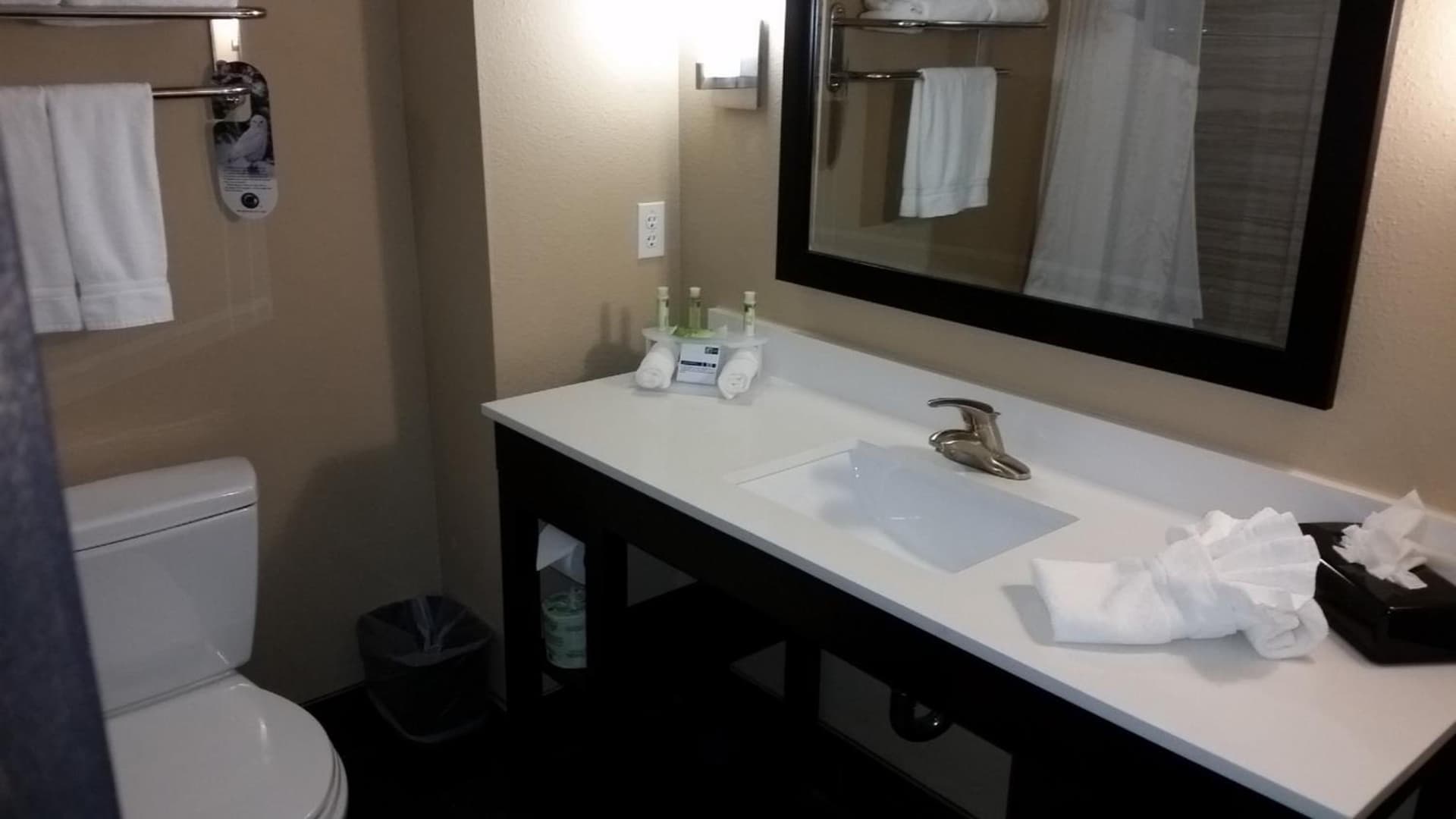 Holiday Inn Express and Suites Atascocita - Humble - Kingwood by IHG gallery photo in Humble, TX — image 38