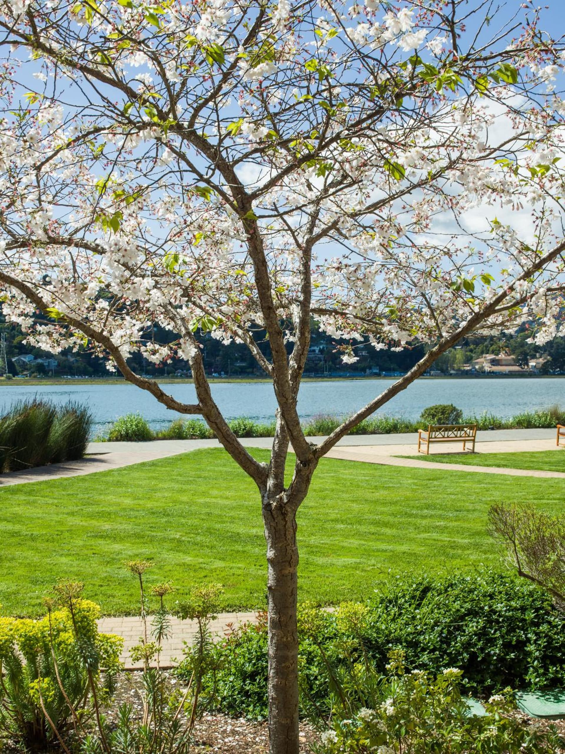 Acqua Hotel gallery photo in Mill Valley, CA — image 25