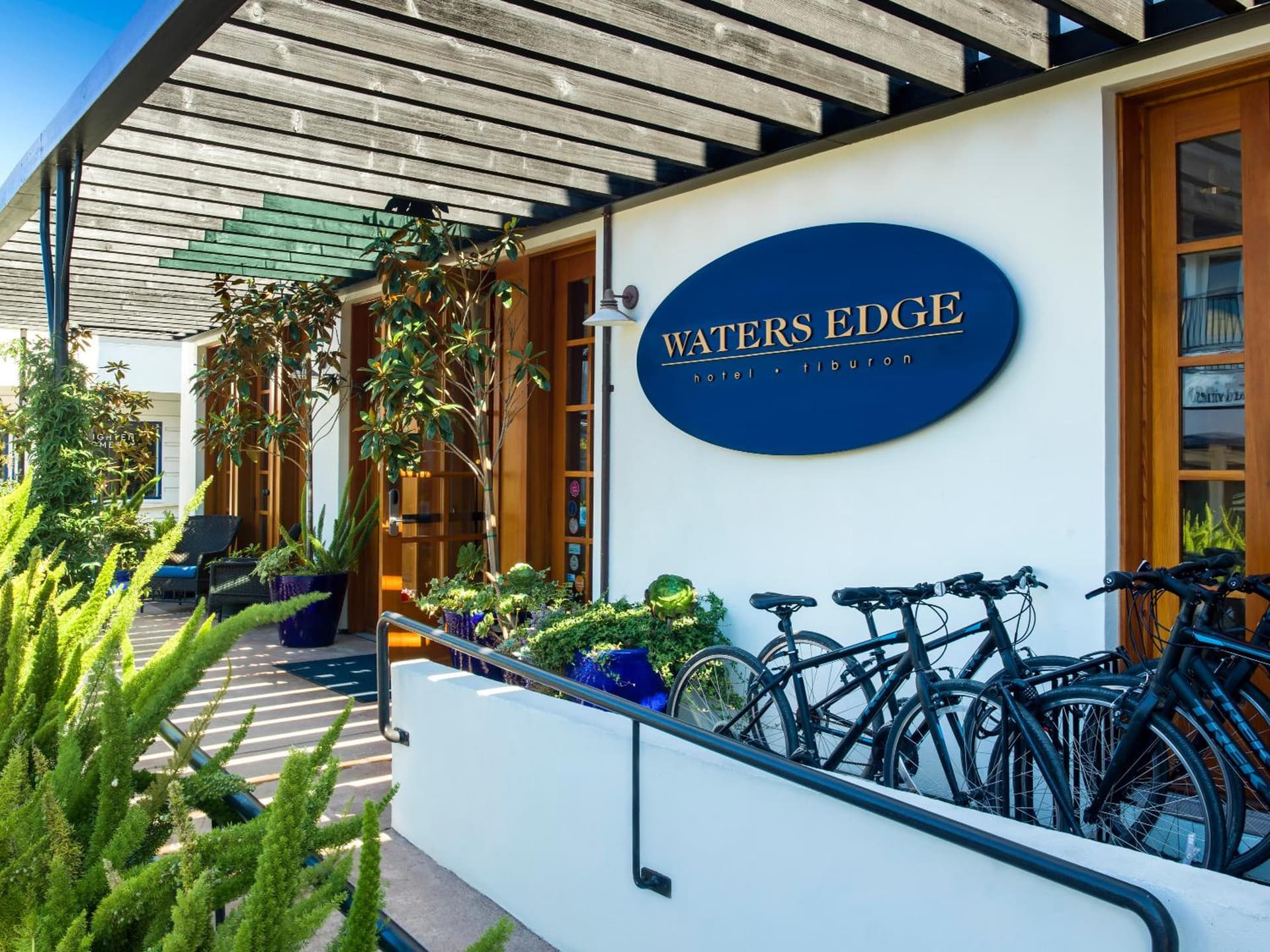 Waters Edge gallery photo in Tiburon, CA — image 26