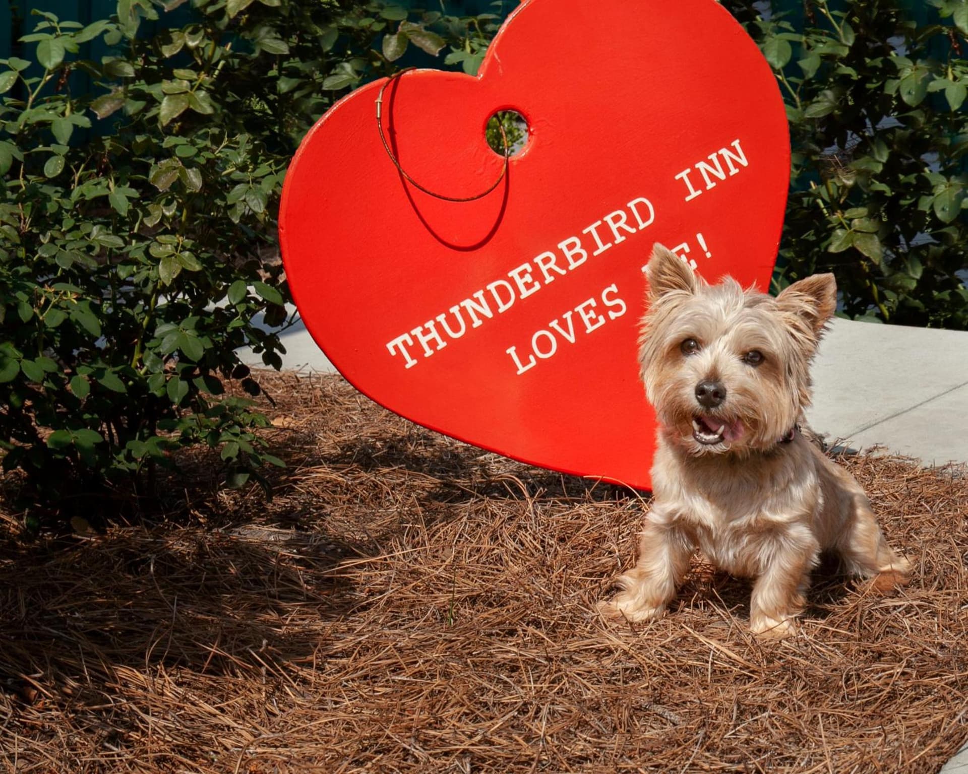 The Thunderbird Inn gallery photo in Savannah, GA — image 21