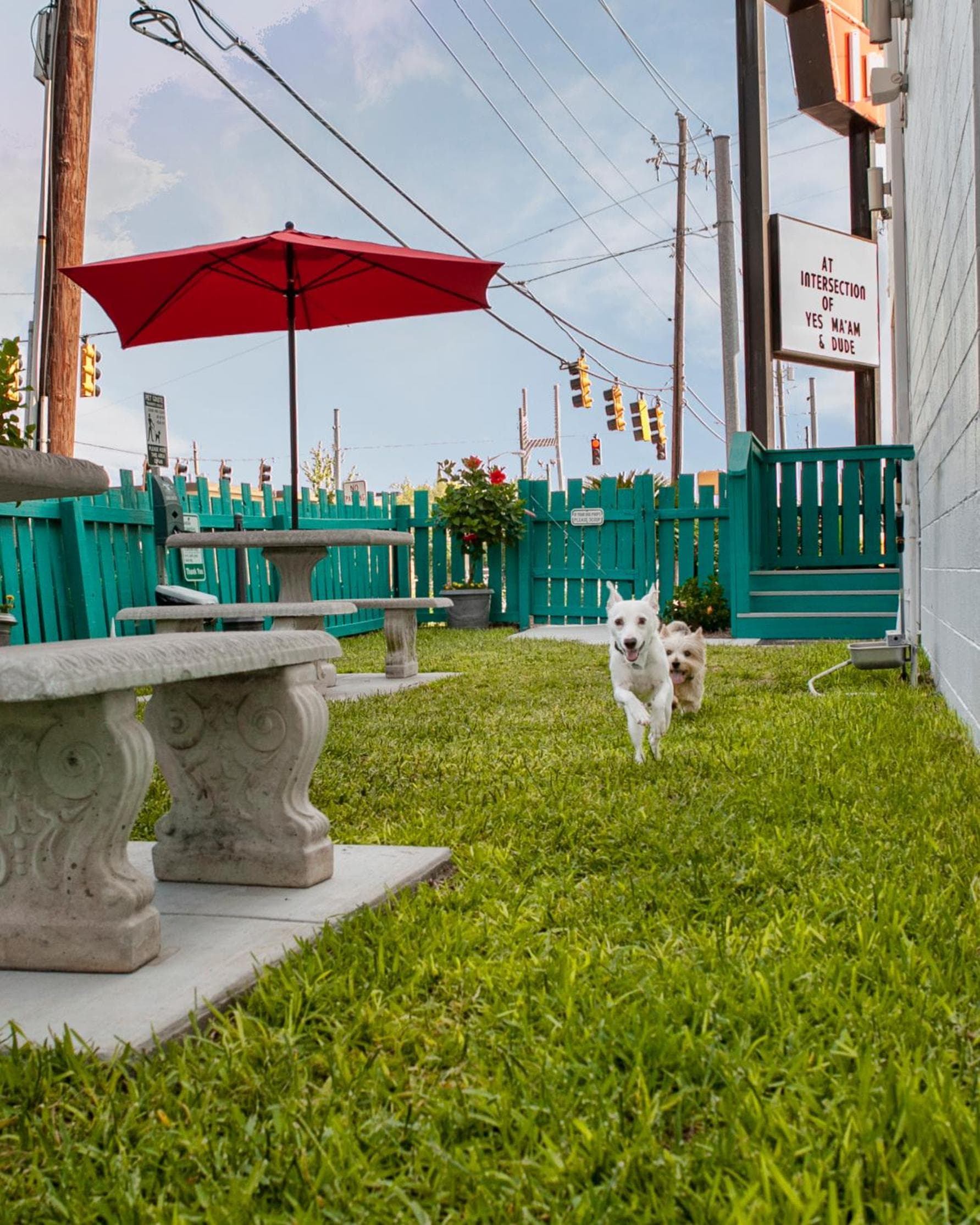 The Thunderbird Inn gallery photo in Savannah, GA — image 28