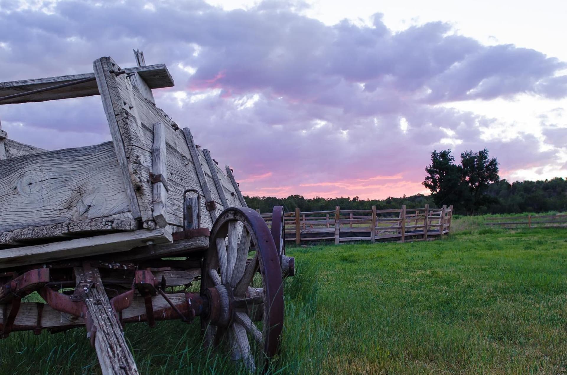 Zion Mountain Ranch gallery photo in Mount Carmel Junction, UT — image 32