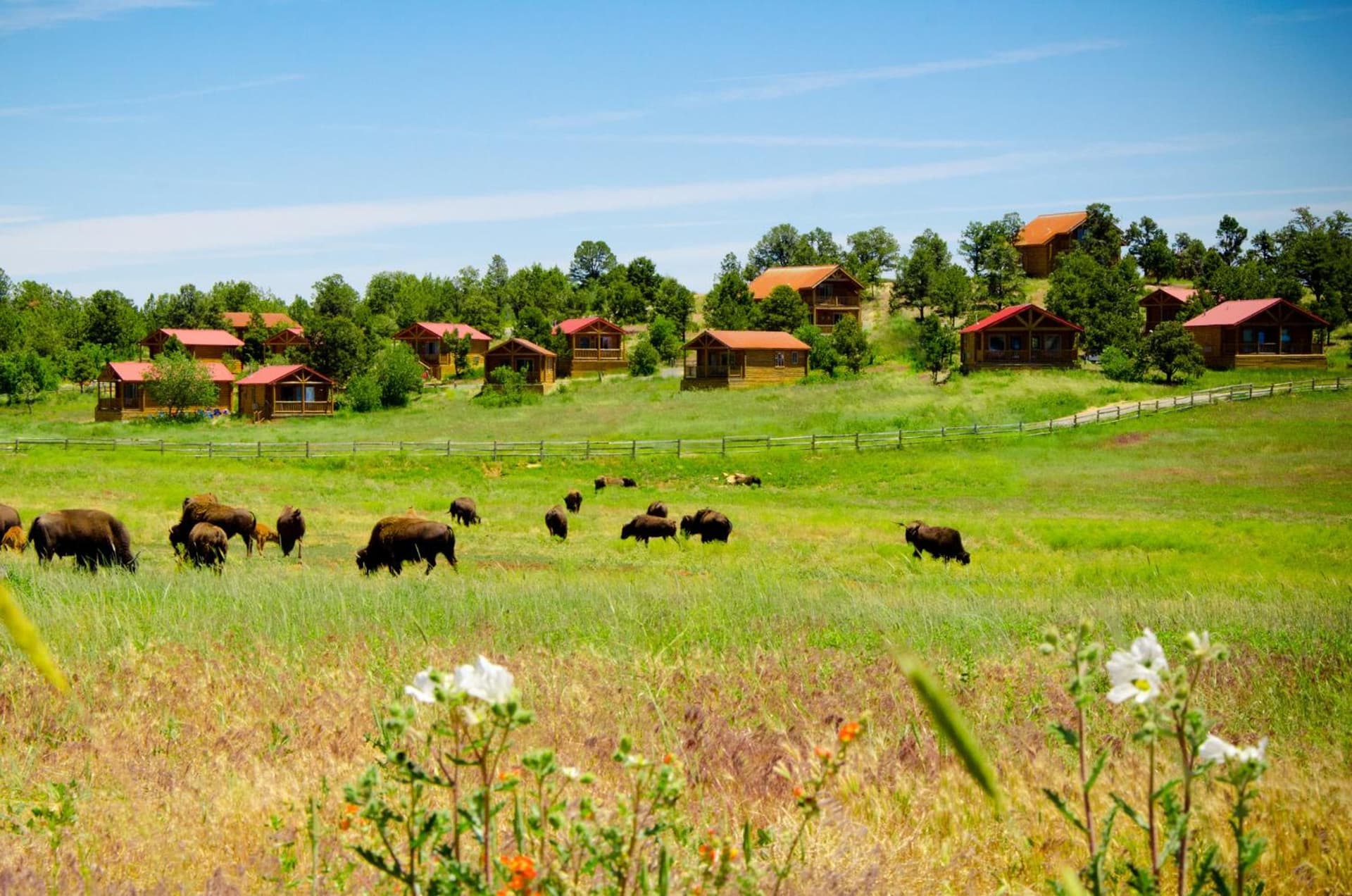 Zion Mountain Ranch gallery photo in Mount Carmel Junction, UT — image 33