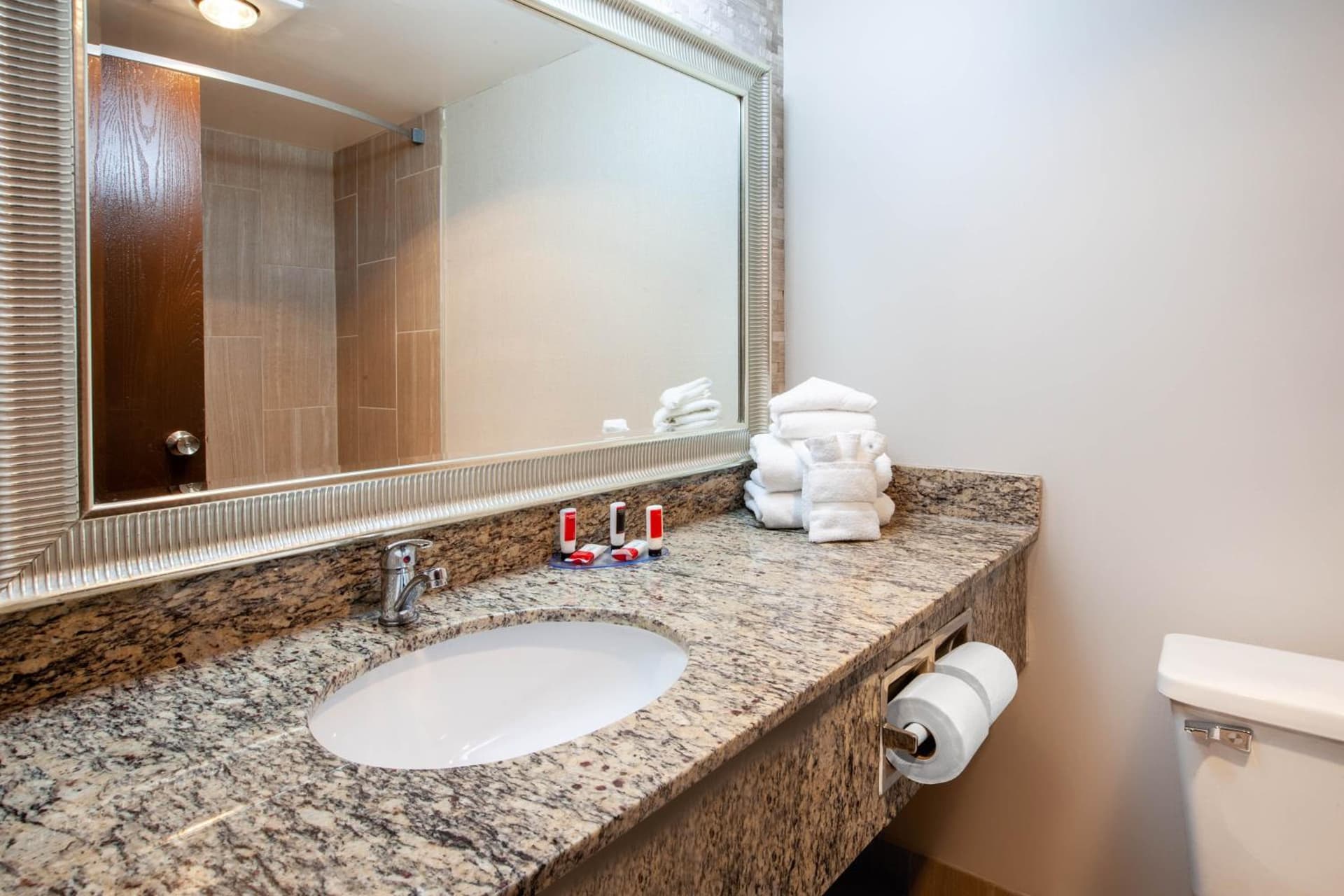 Wingate by Wyndham Detroit Metro Airport gallery photo in Romulus, MI — image 16