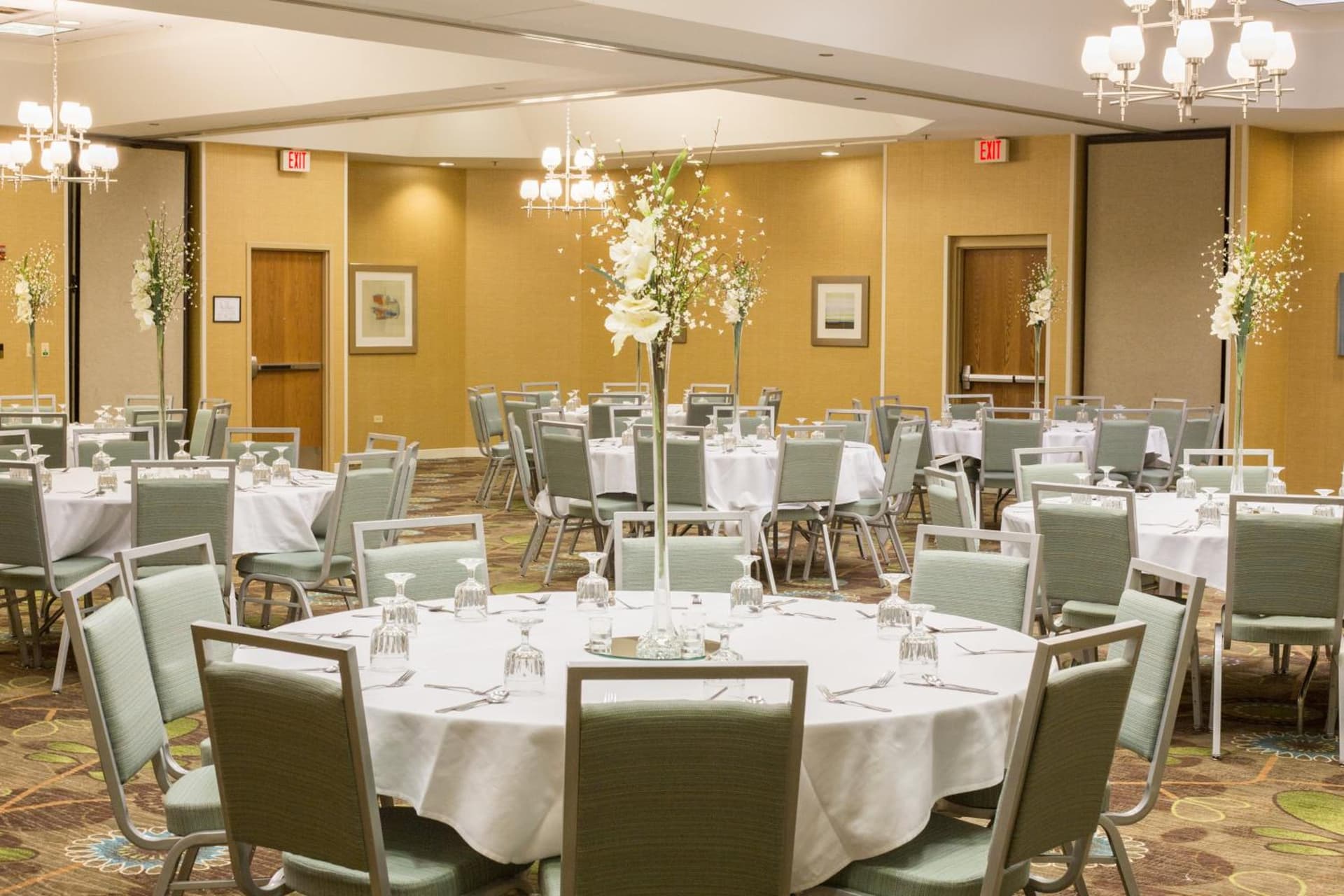 Holiday Inn & Suites Bolingbrook by IHG gallery photo in Bolingbrook, IL — image 39