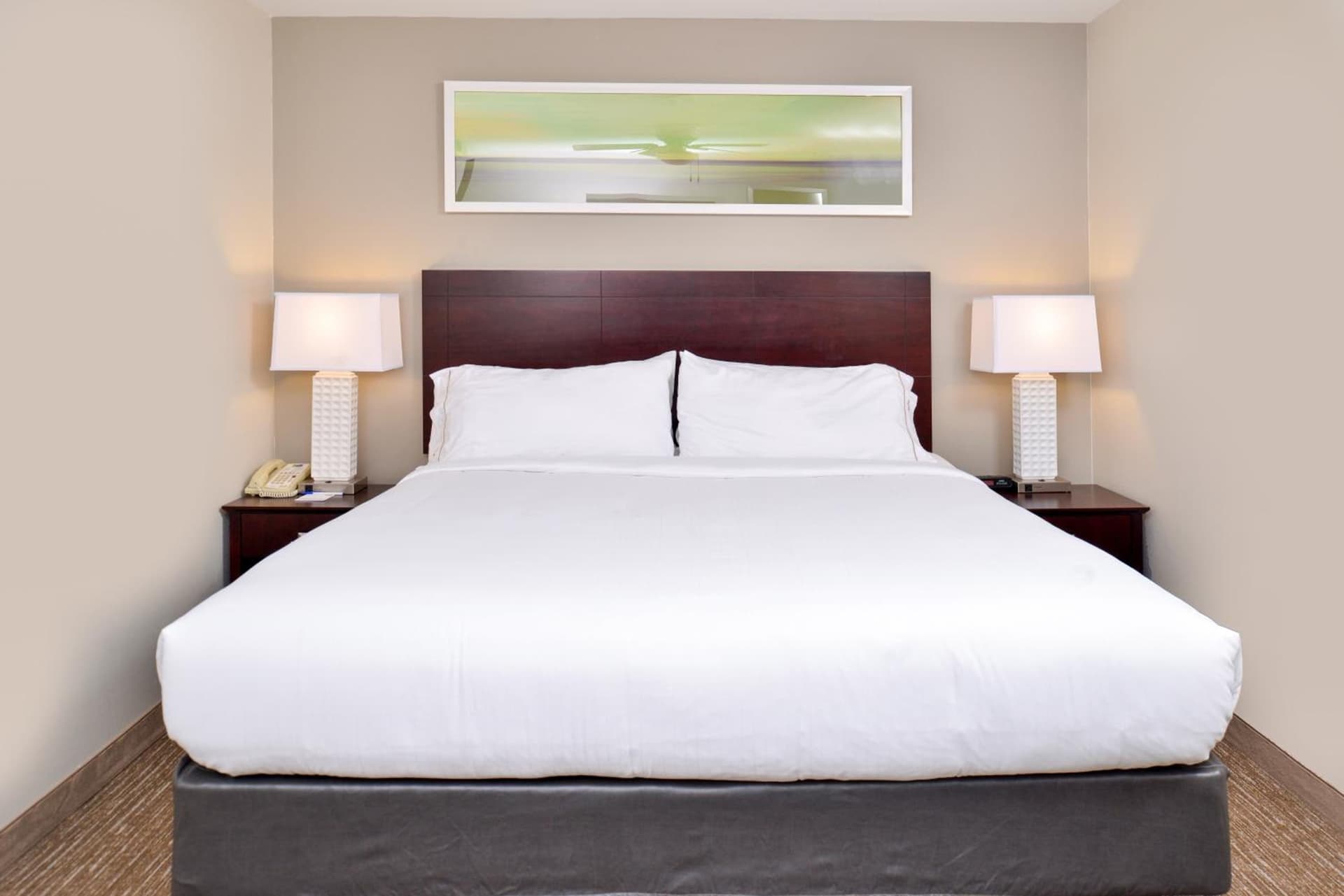 Holiday Inn Express Hotel & Suites Lafayette by IHG gallery photo in Lafayette, LA — image 14