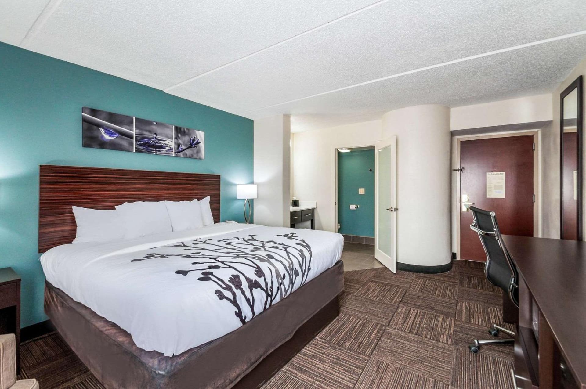 Sleep Inn & Suites Rehoboth Beach property views in Rehoboth Beach, DE — gallery photo 3