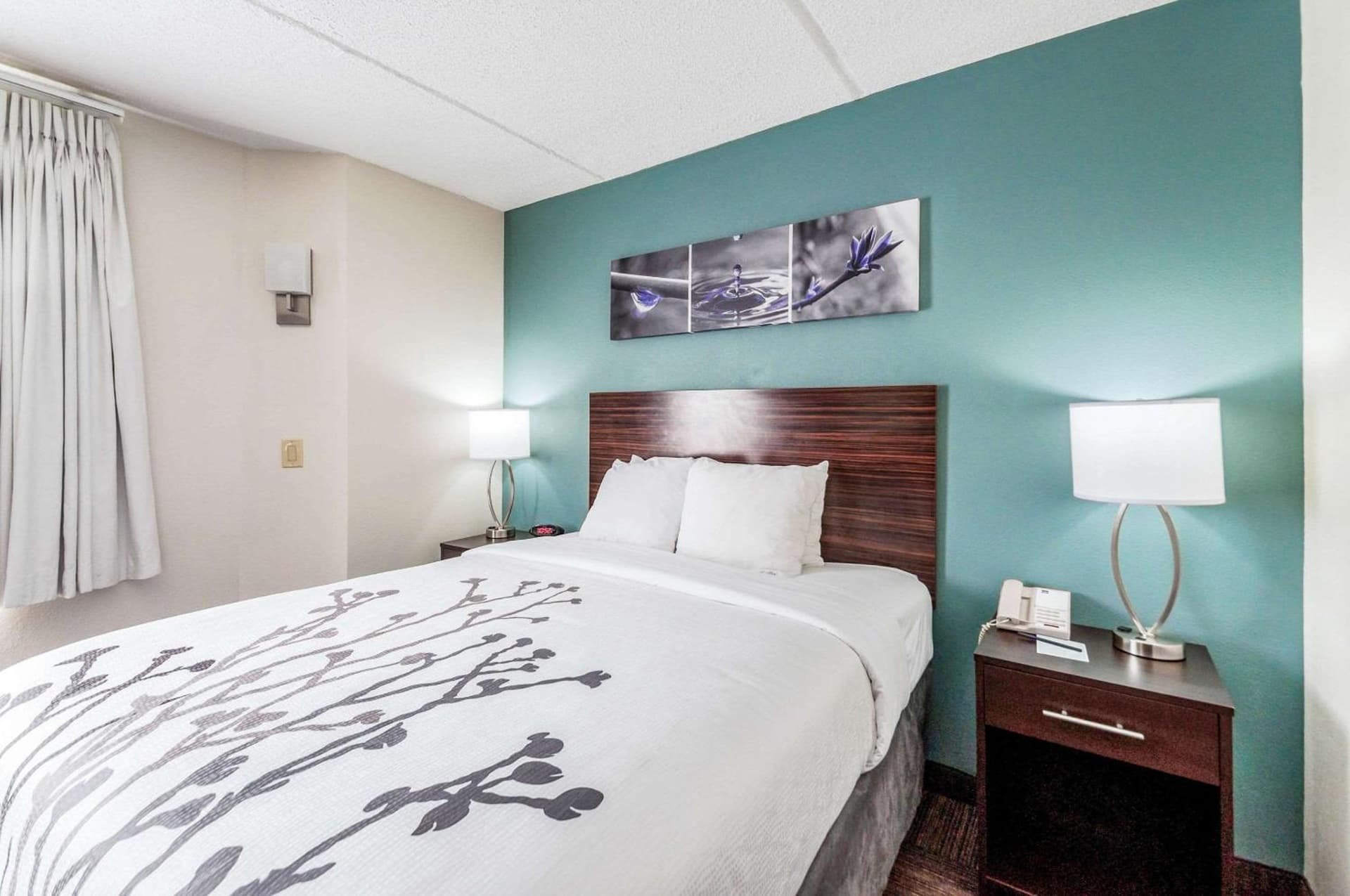 Sleep Inn & Suites Rehoboth Beach gallery photo in Rehoboth Beach, DE — image 22