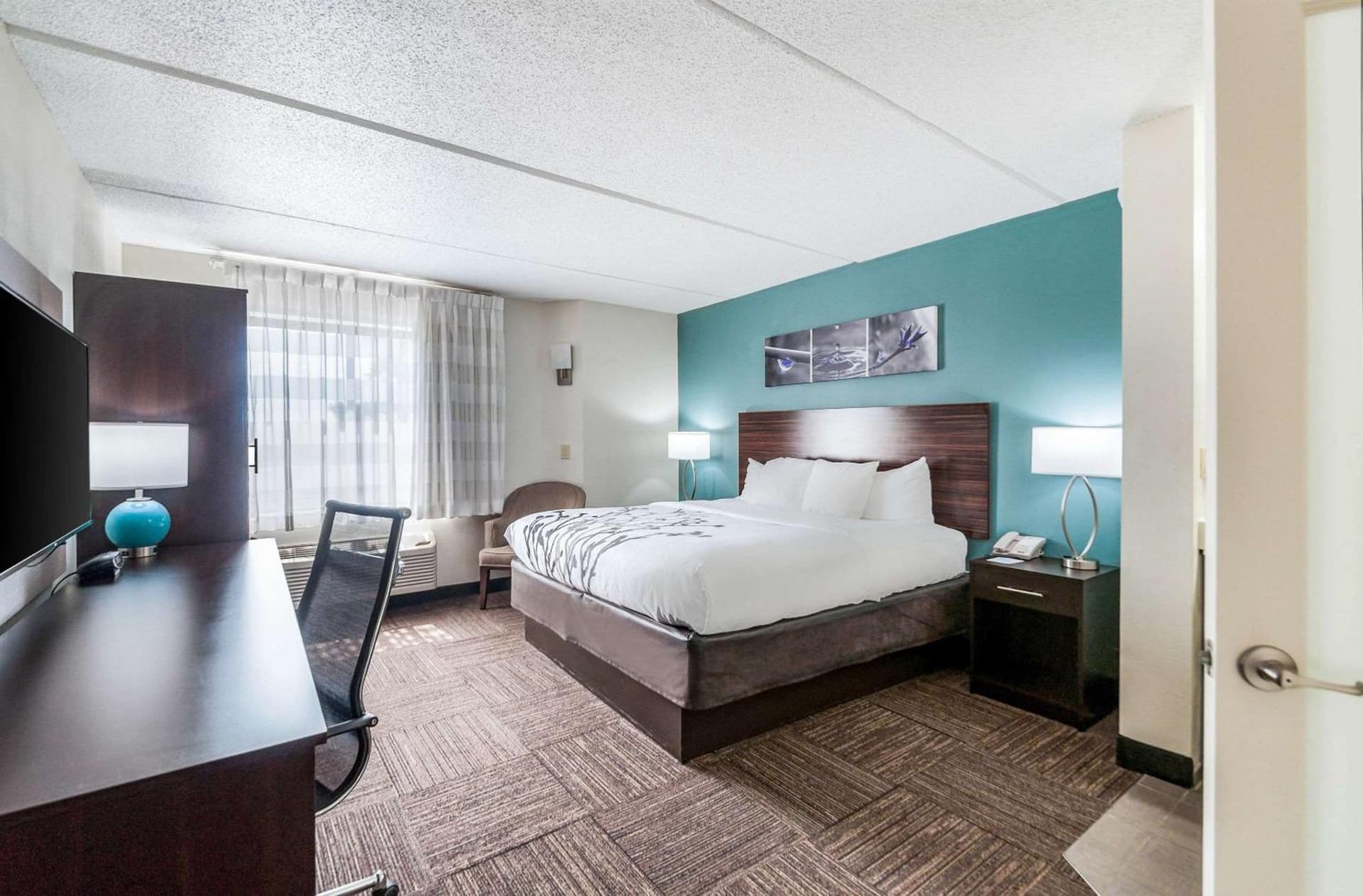 Sleep Inn & Suites Rehoboth Beach gallery photo in Rehoboth Beach, DE — image 24