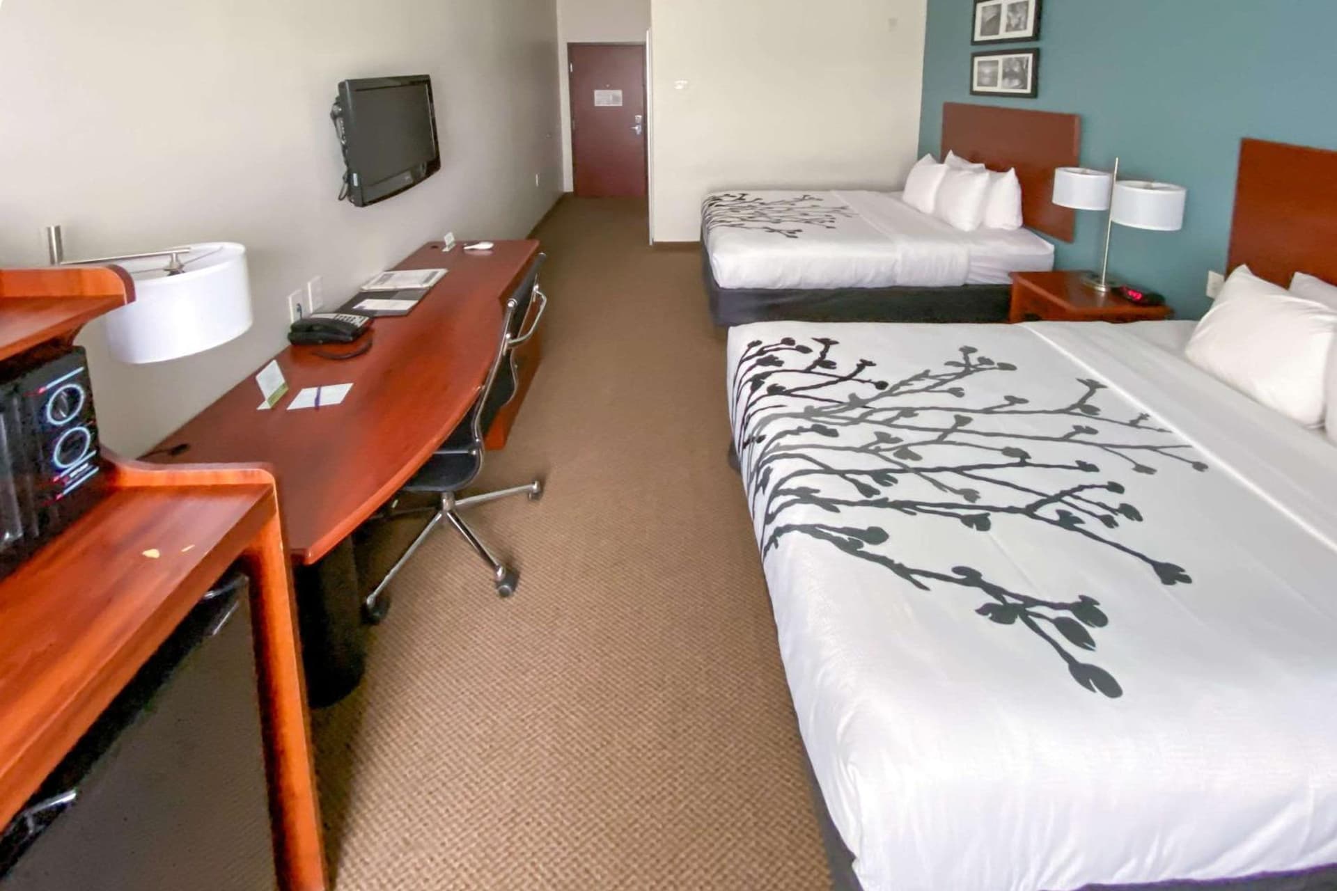 Sleep Inn & Suites Pearland - Houston South gallery photo in Pearland, TX — image 13