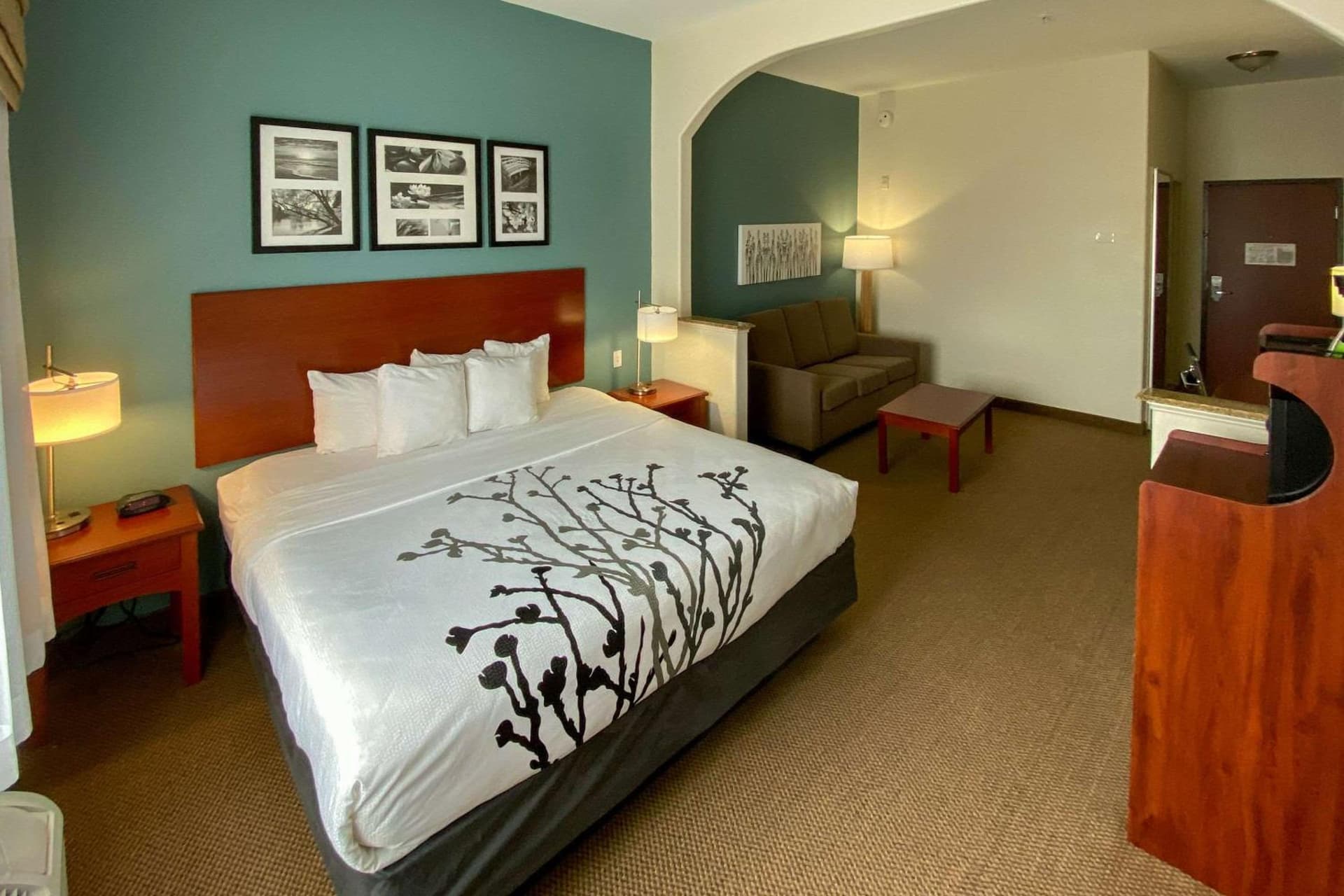 Sleep Inn & Suites Pearland - Houston South gallery photo in Pearland, TX — image 4