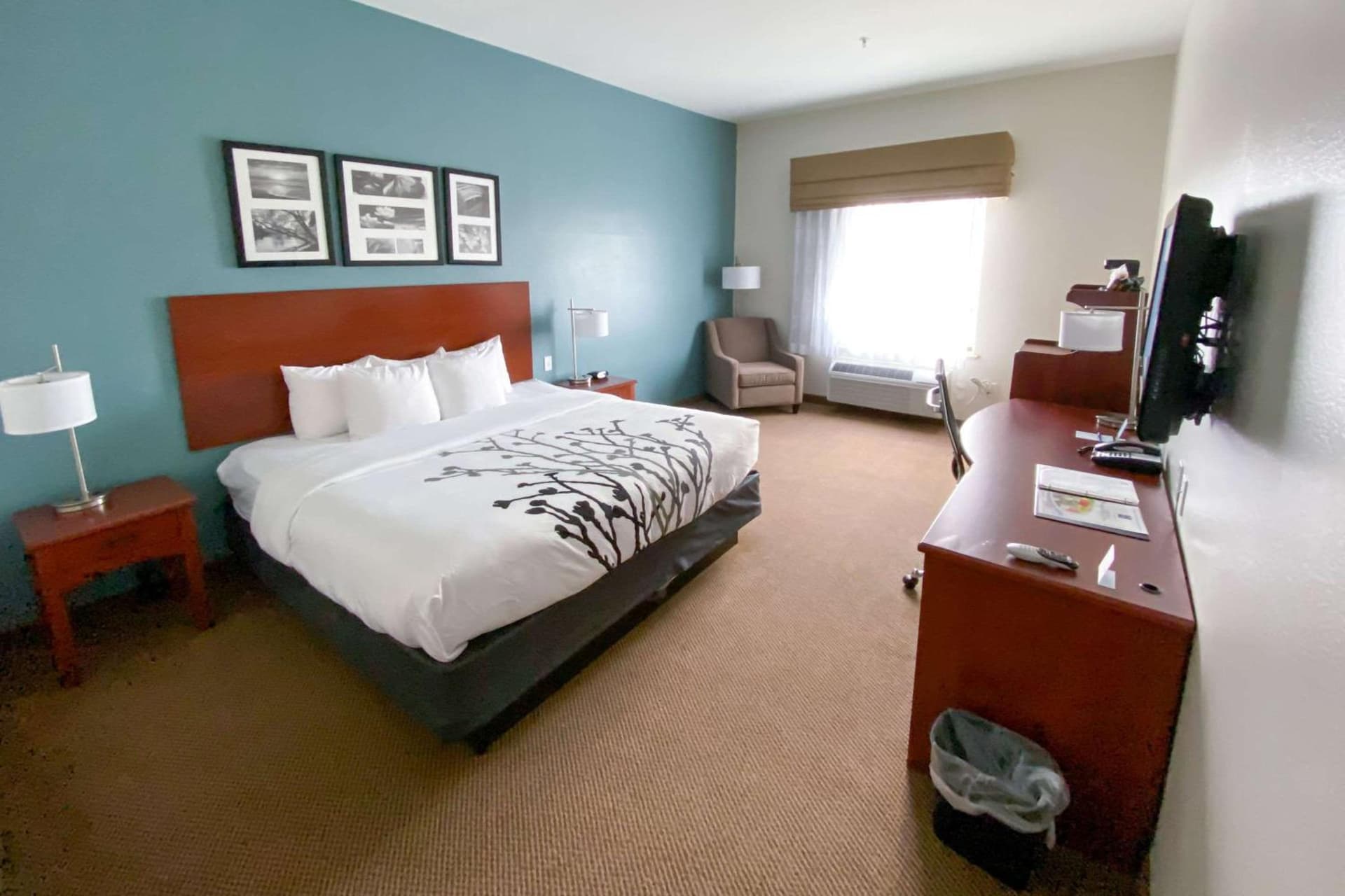 Sleep Inn & Suites Pearland - Houston South interior in Pearland, TX — gallery photo 2