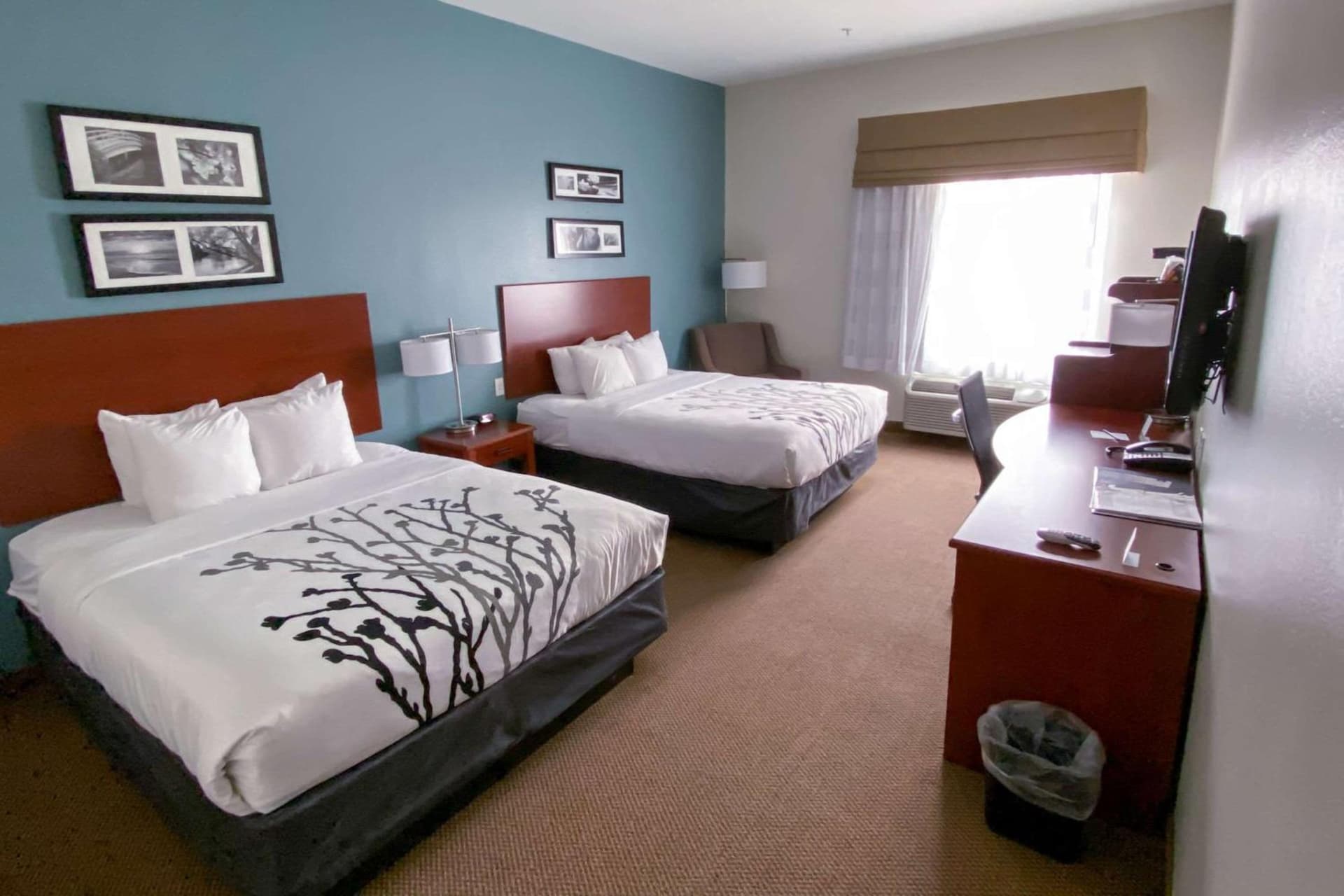 Sleep Inn & Suites Pearland - Houston South gallery photo in Pearland, TX — image 12