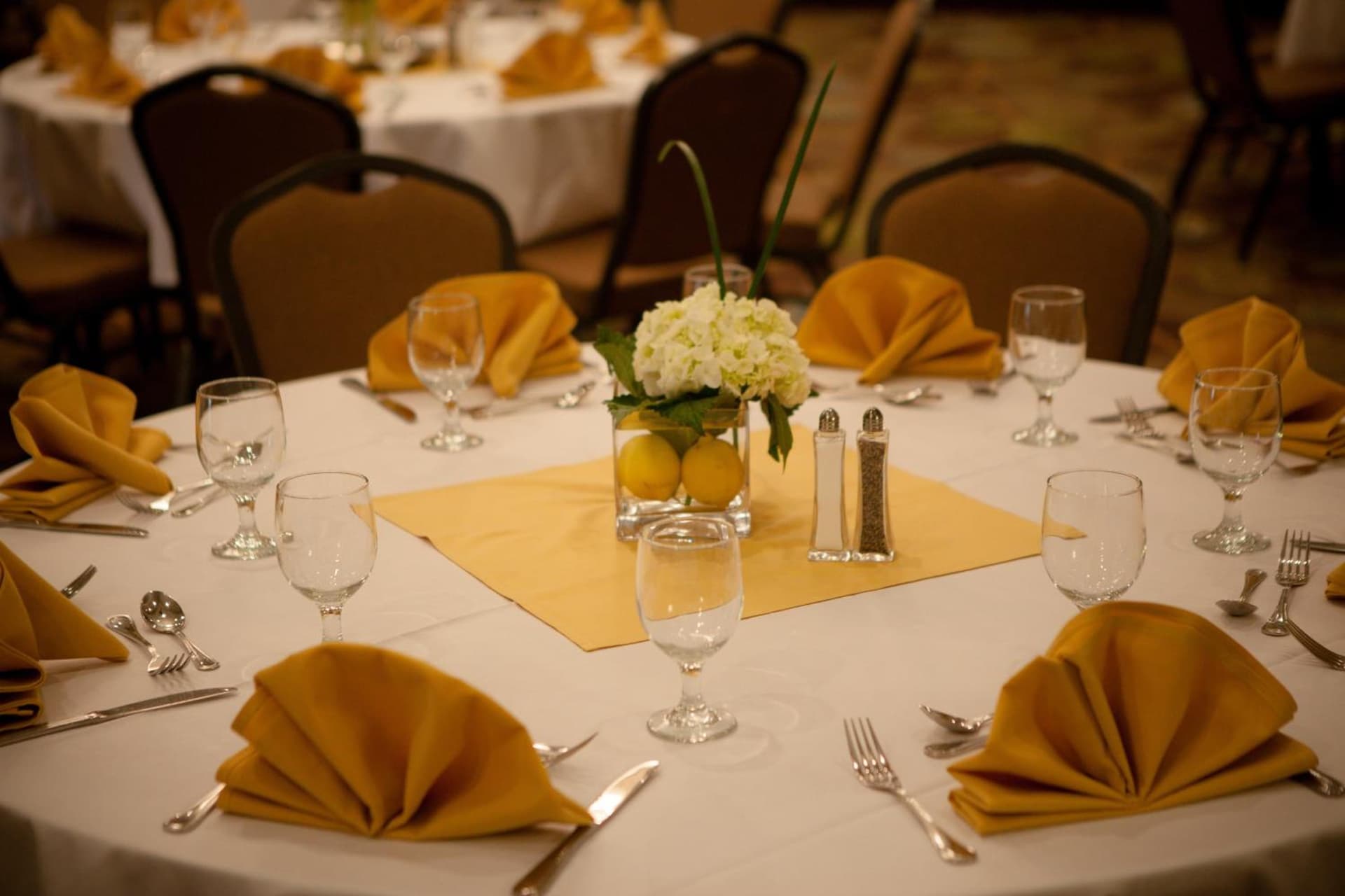 Holiday Inn Greenville by IHG gallery photo in Greenville, NC — image 41