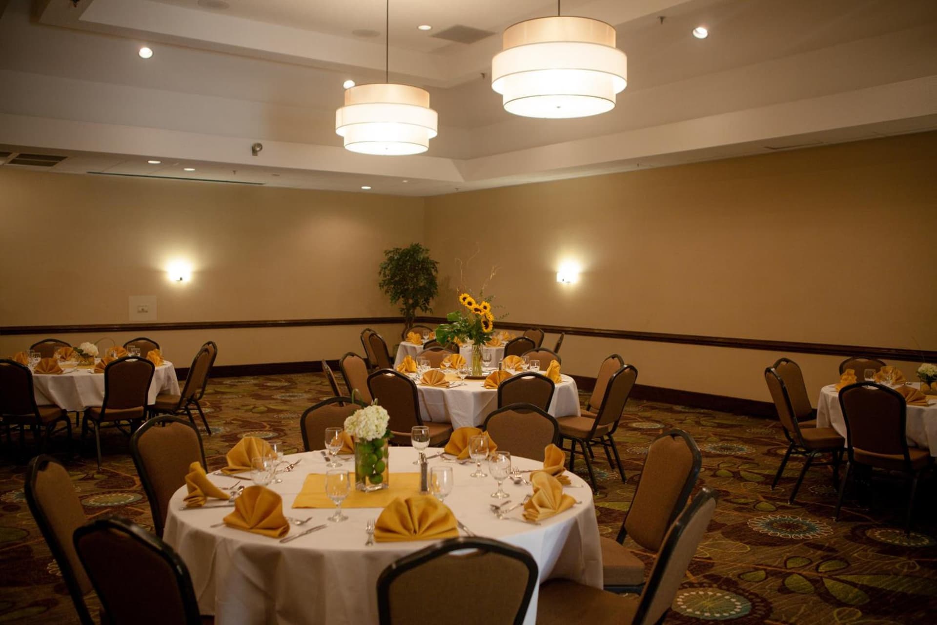 Holiday Inn Greenville by IHG gallery photo in Greenville, NC — image 47