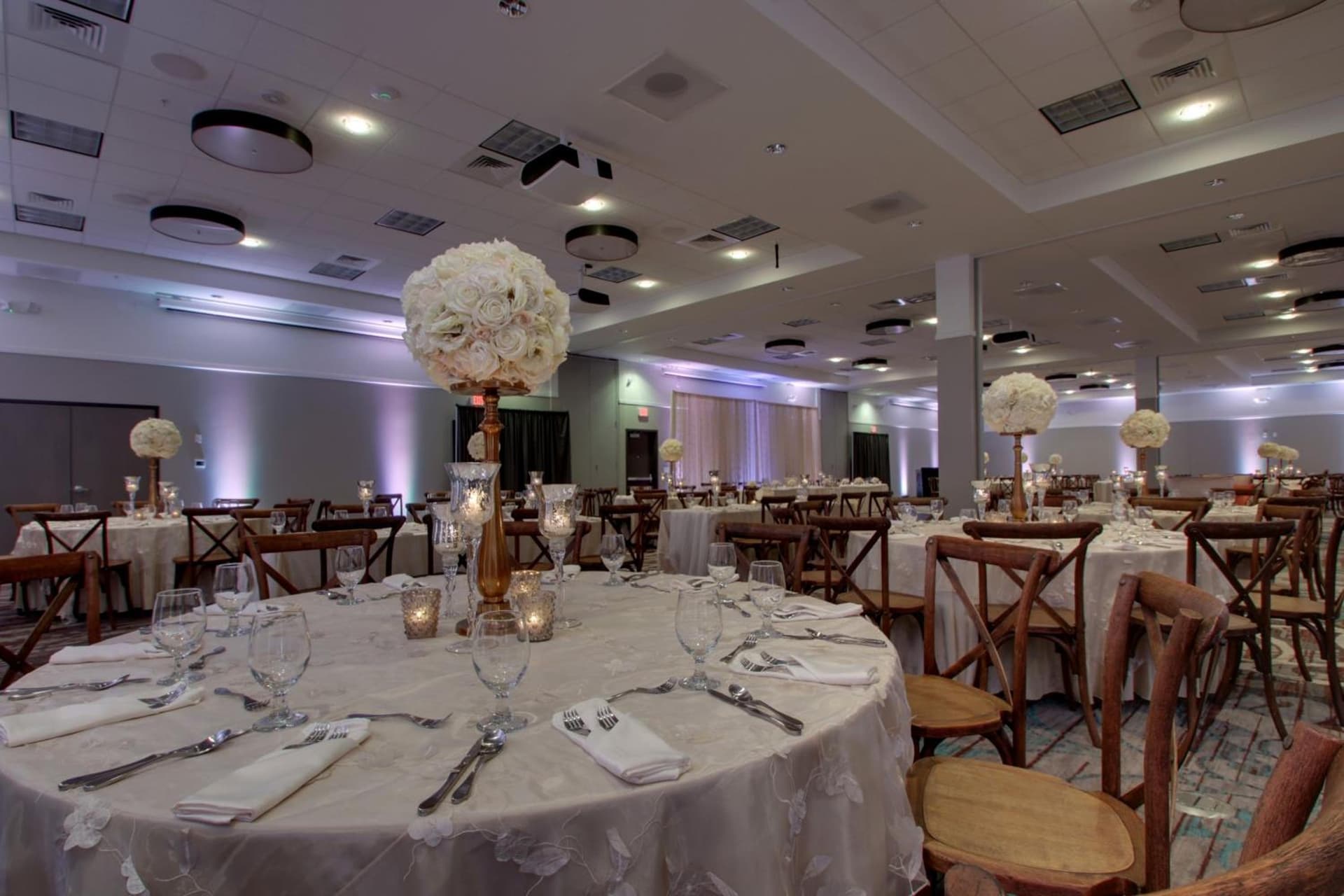 Holiday Inn & Suites Peoria At Grand Prairie by IHG gallery photo in Peoria, IL — image 42