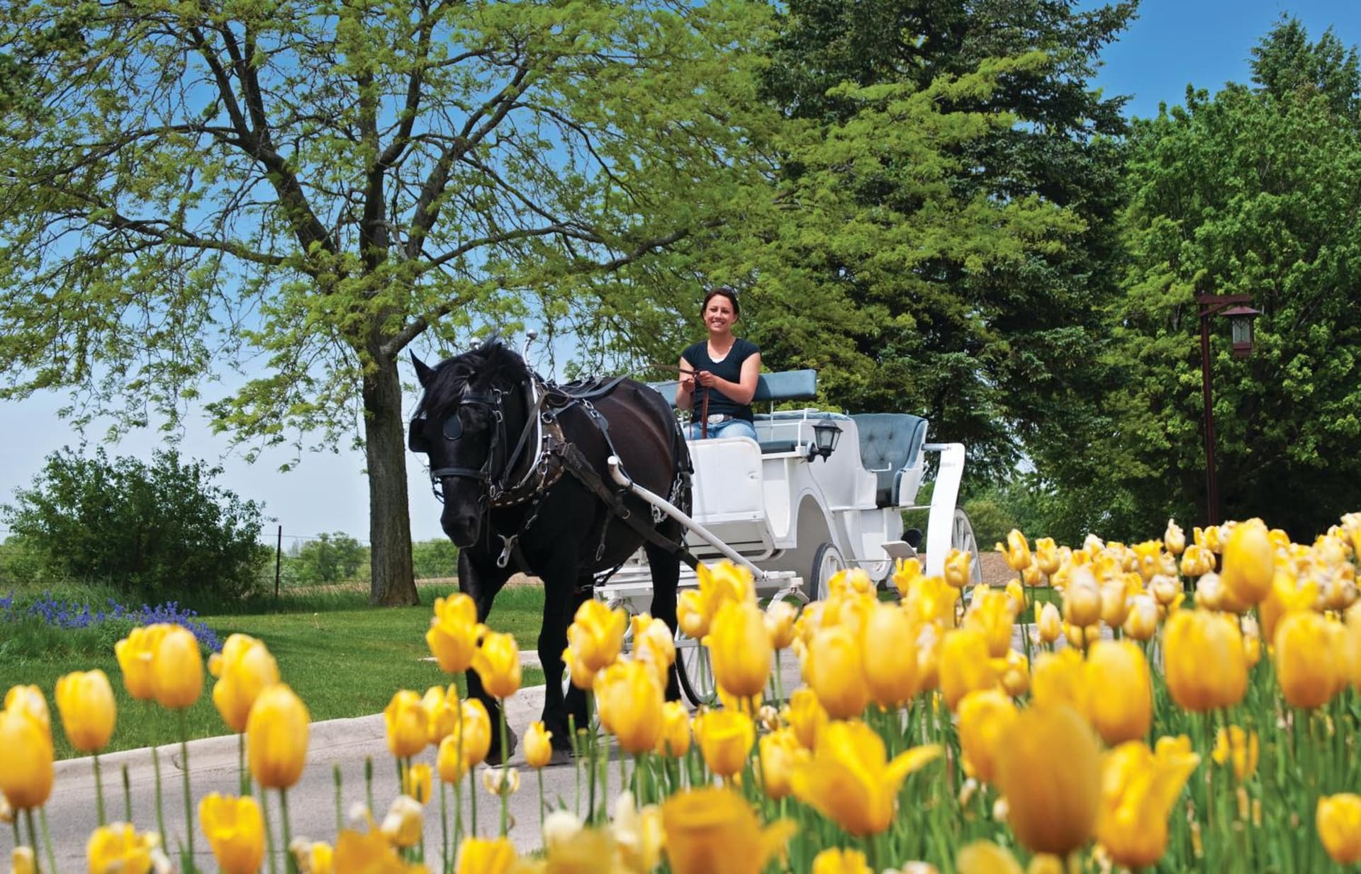Holiday Inn Club Vacations at Lake Geneva Resort gallery photo in Lake Geneva, WI — image 11