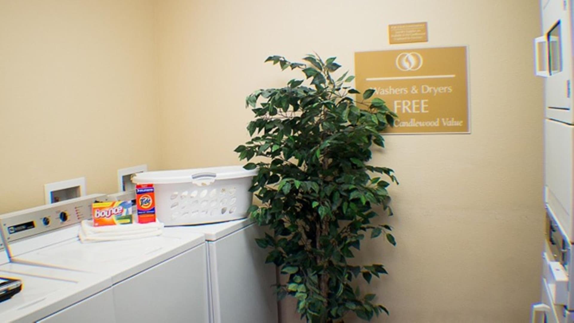 Candlewood Suites Jacksonville by IHG property views in Jacksonville, NC — gallery photo 3