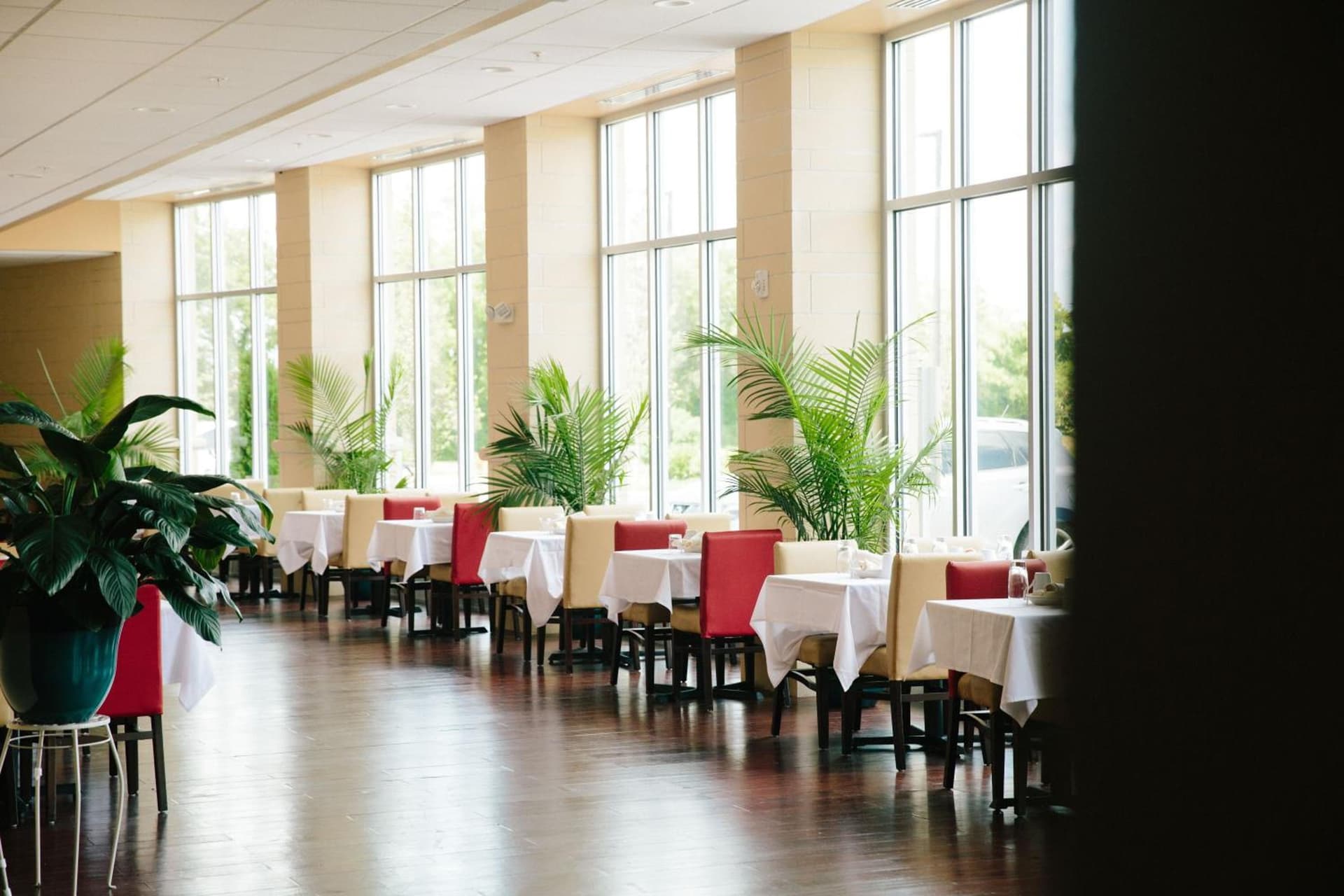 Holiday Inn Murfreesboro by IHG gallery photo in Murfreesboro, TN — image 80