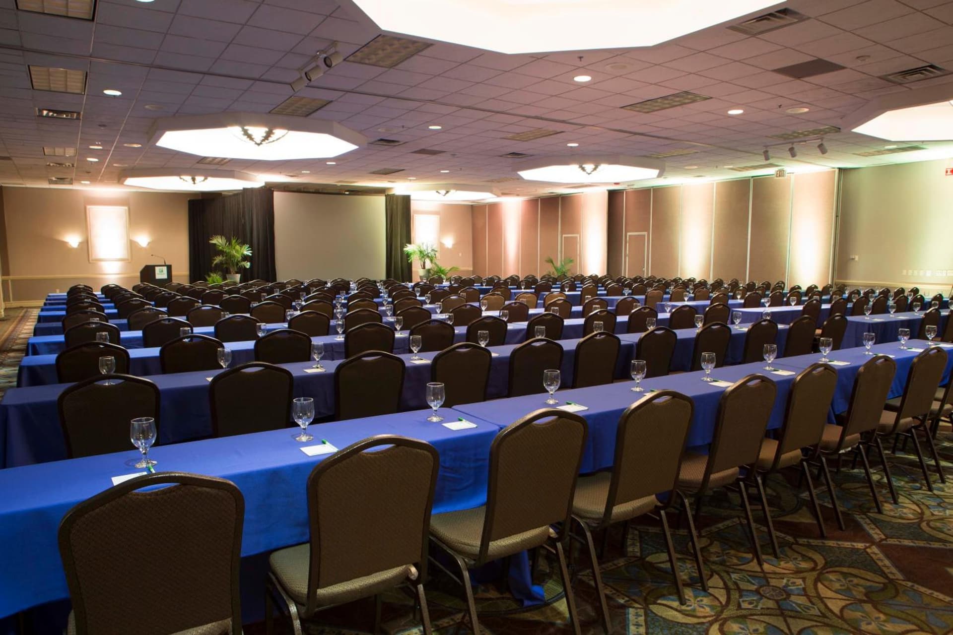 Holiday Inn Binghamton-Downtown Hawley Street by IHG gallery photo in Binghamton, NY — image 18