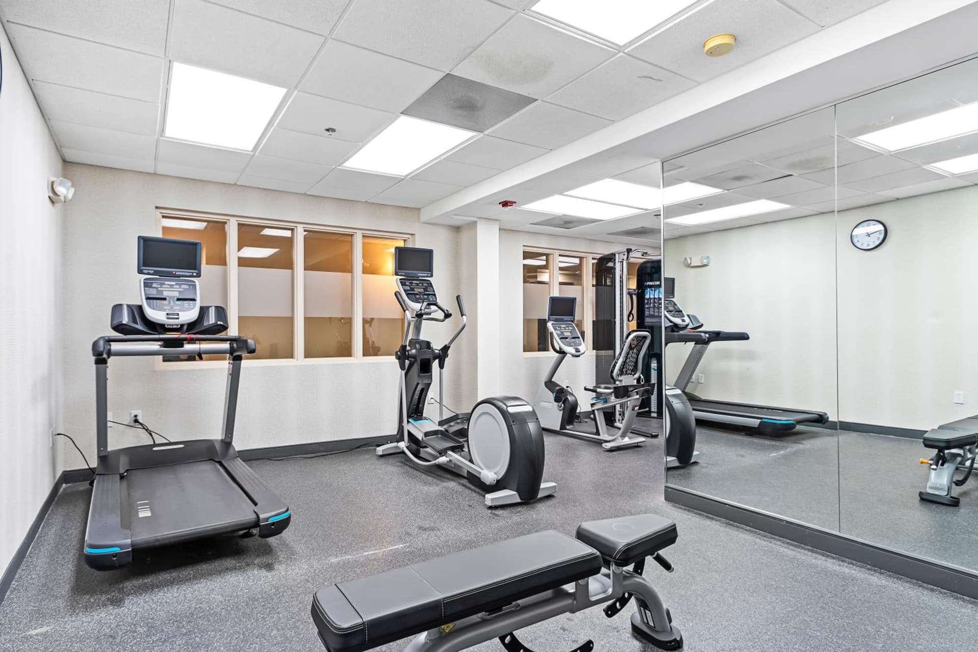 Holiday Inn - St. Petersburg West by IHG gallery photo in St Petersburg, FL — image 32