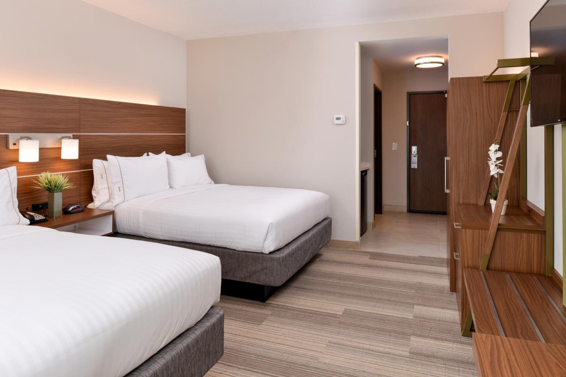 Holiday Inn Express & Suites Trinity by IHG gallery photo in Trinity, FL — image 59