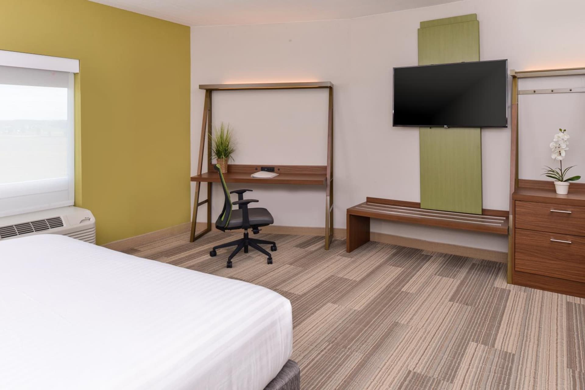 Holiday Inn Express & Suites Trinity by IHG gallery photo in Trinity, FL — image 19