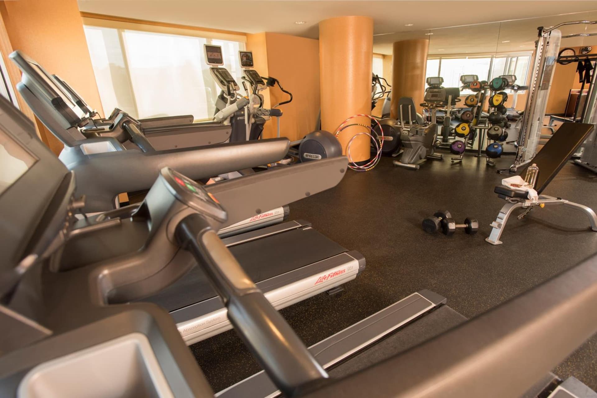 Kimpton Marlowe by IHG gallery photo in Cambridge, MA — image 23