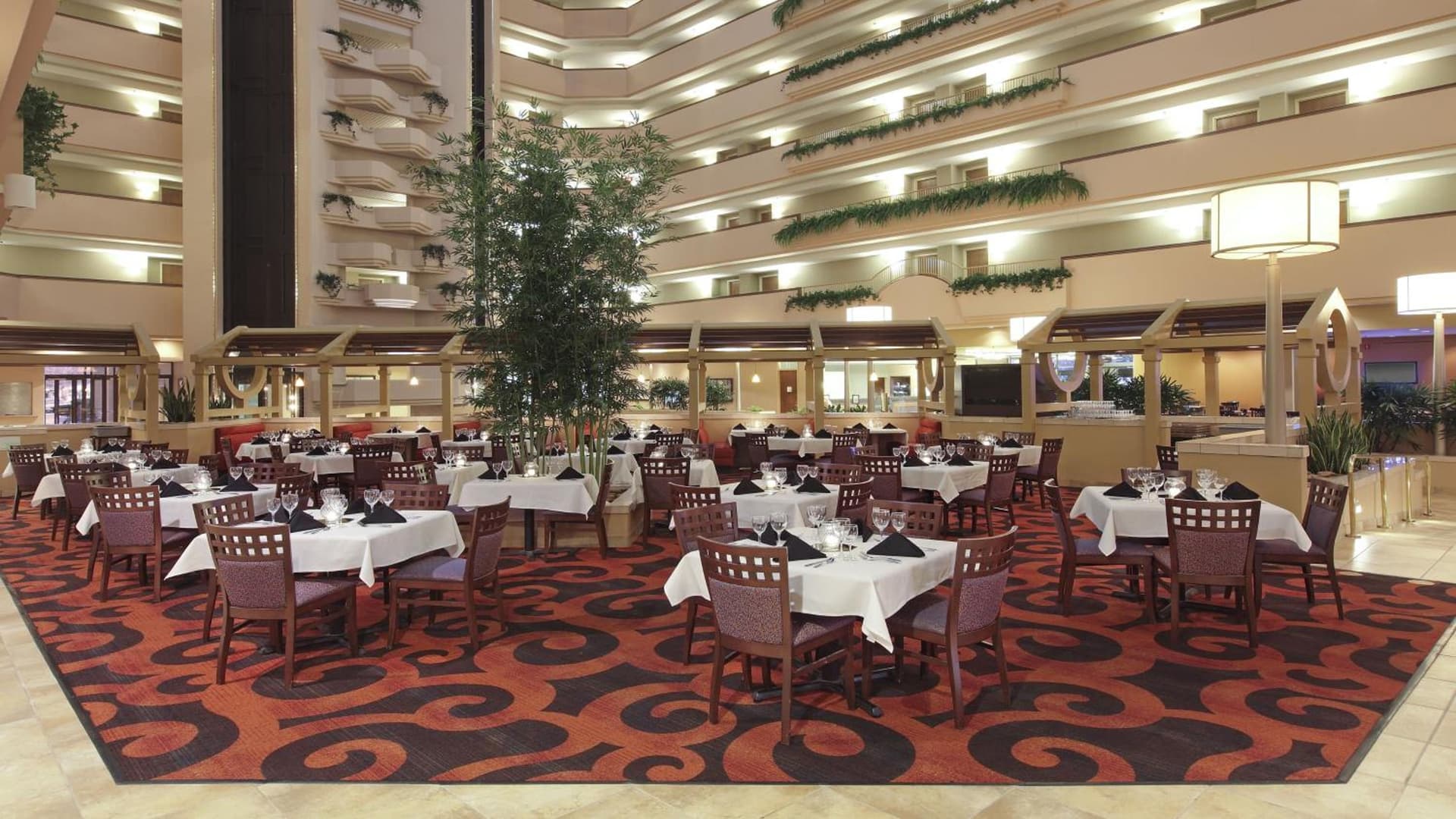 Holiday Inn Springdale-Fayetteville Area by IHG gallery photo in Springdale, AR — image 16