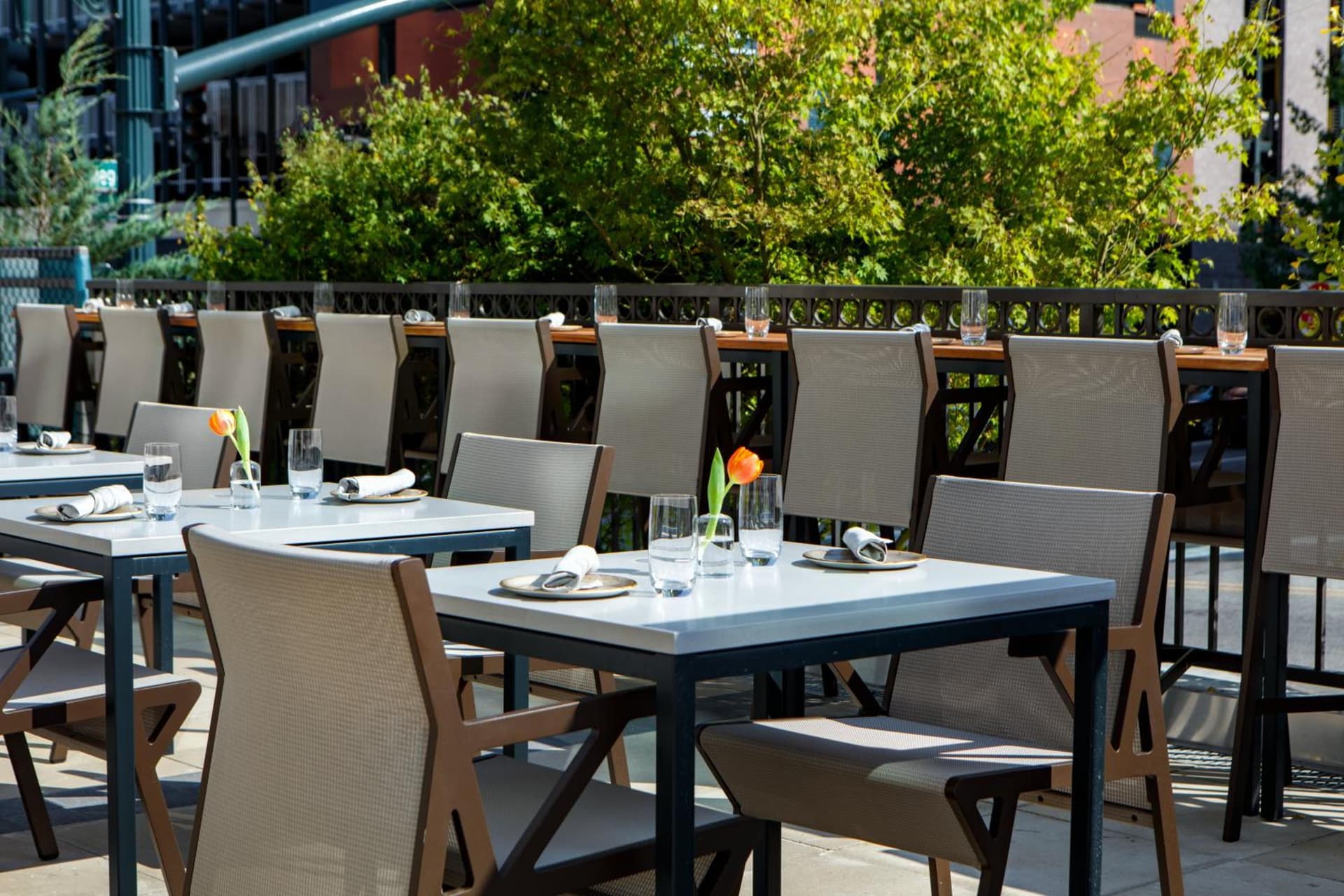 Kimpton Hotel Arras by IHG gallery photo in Asheville, NC — image 24