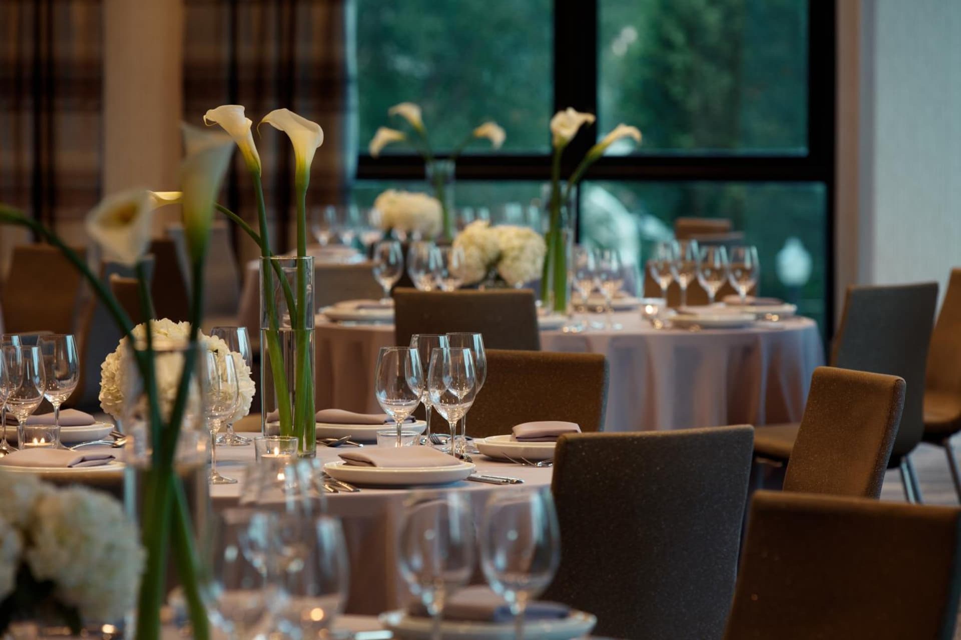 Kimpton Hotel Arras by IHG gallery photo in Asheville, NC — image 54