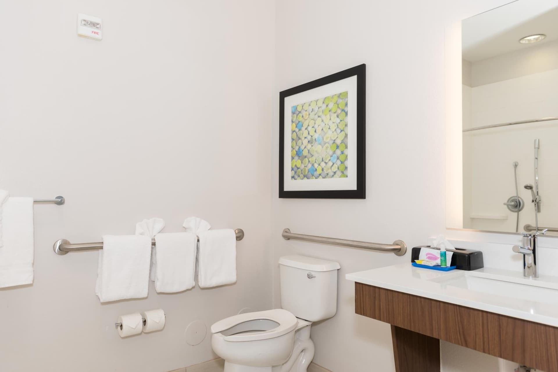 Holiday Inn Express Hotel & Suites Tampa-USF-Busch Gardens by IHG interior in Tampa, FL — gallery photo 2