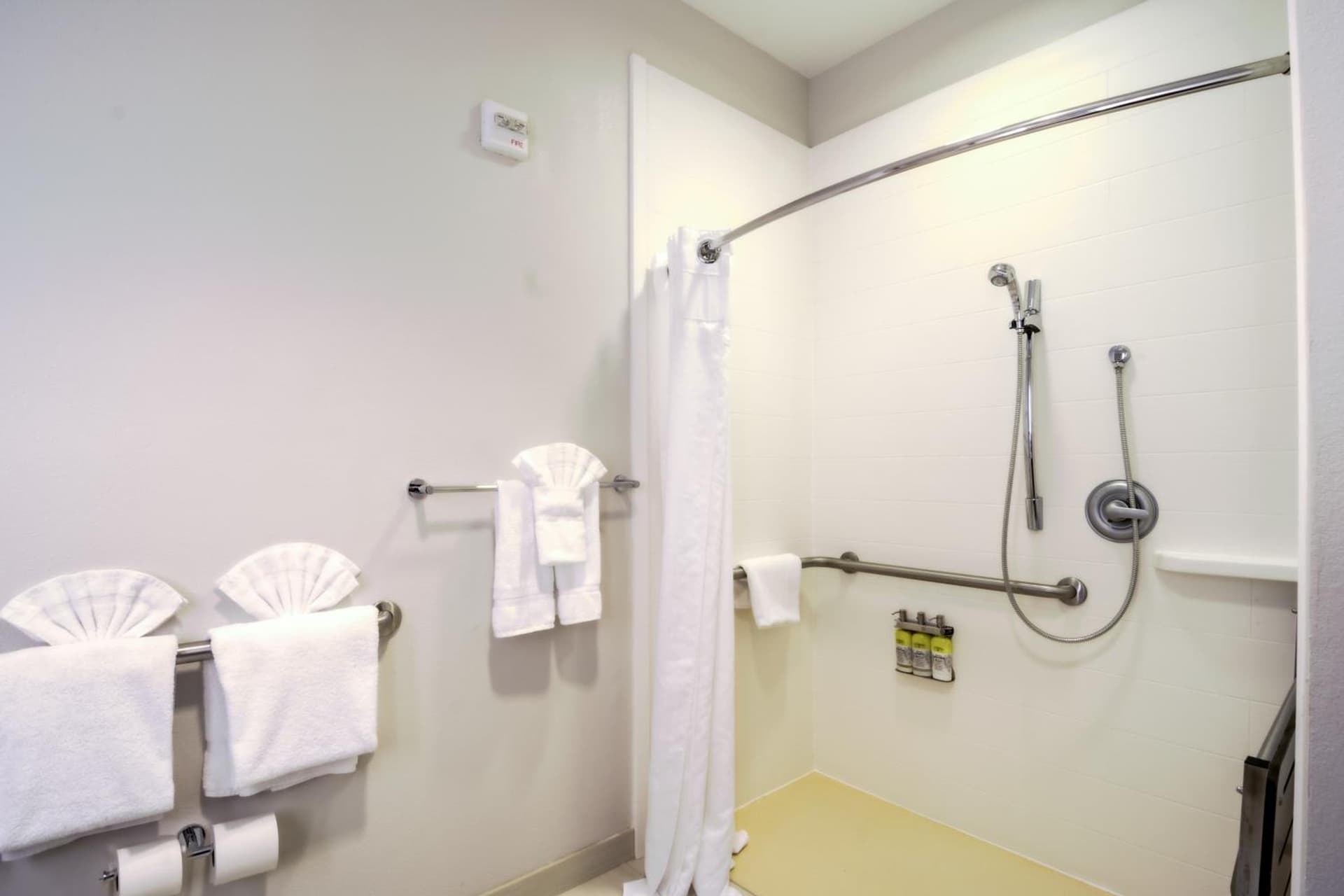 Holiday Inn Express Hotel & Suites Tampa-USF-Busch Gardens by IHG property views in Tampa, FL — gallery photo 3
