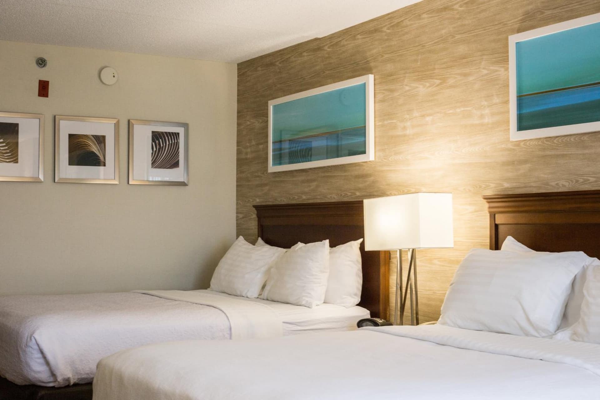 Holiday Inn & Suites Bolingbrook by IHG gallery photo in Bolingbrook, IL — image 9
