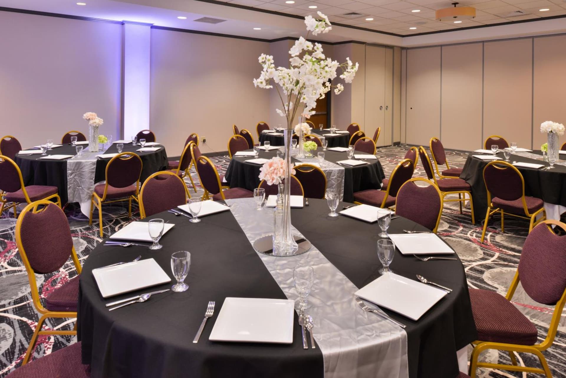 Holiday Inn Kansas City Airport by IHG gallery photo in Kansas City, KS — image 9
