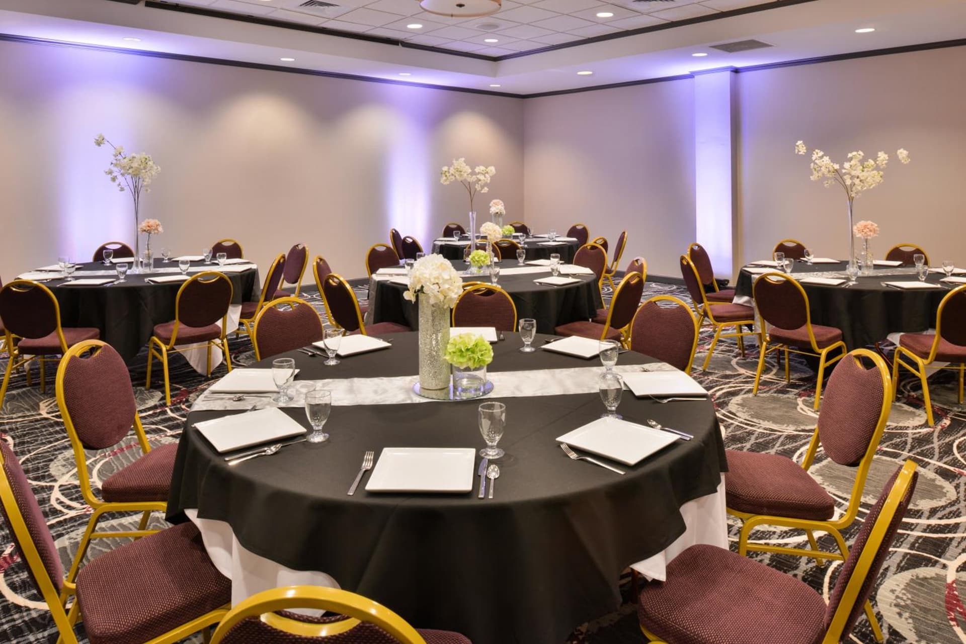 Holiday Inn Kansas City Airport by IHG gallery photo in Kansas City, KS — image 48