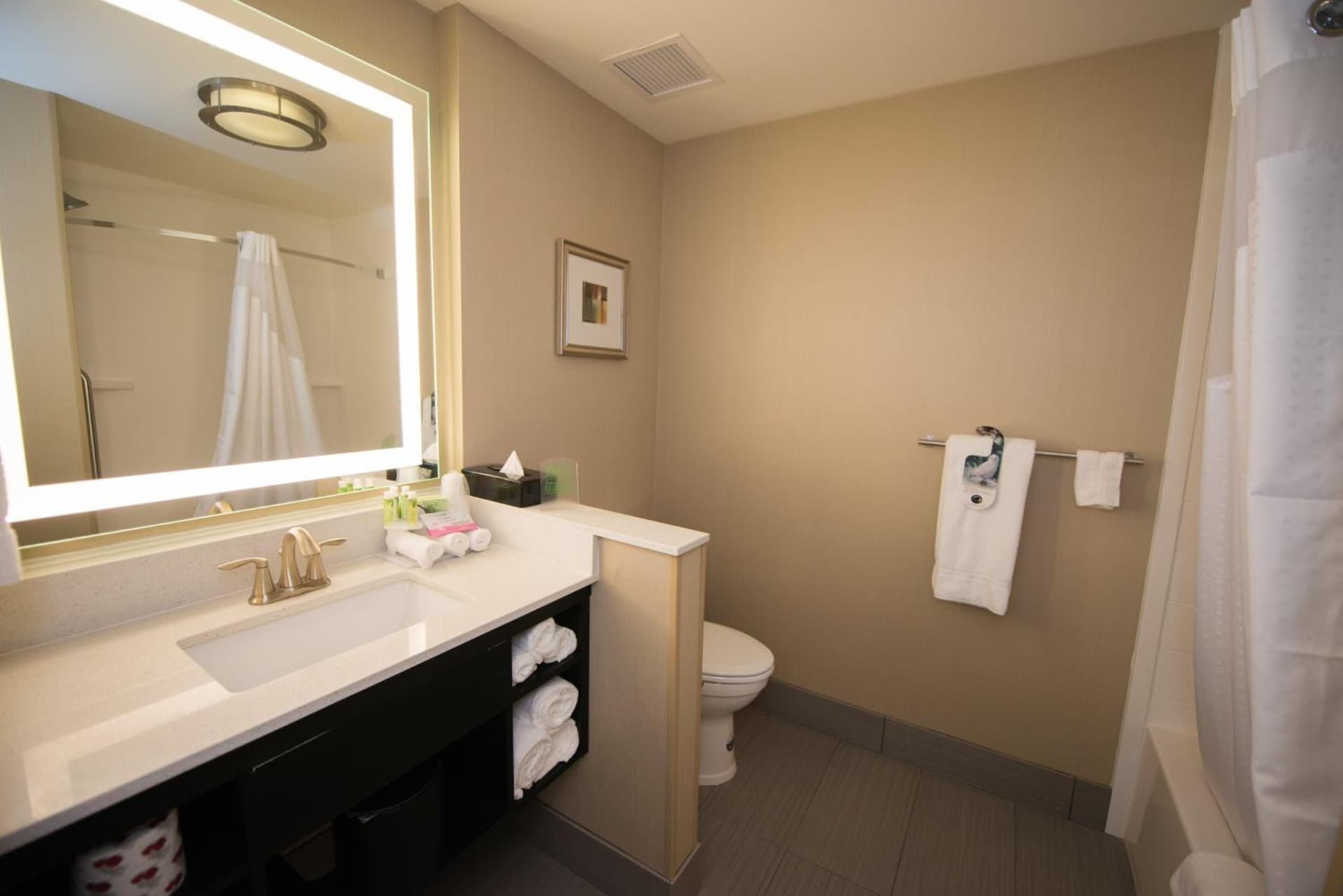 Holiday Inn Express & Suites Denver South - Castle Rock by IHG gallery photo in Castle Rock, CO — image 23