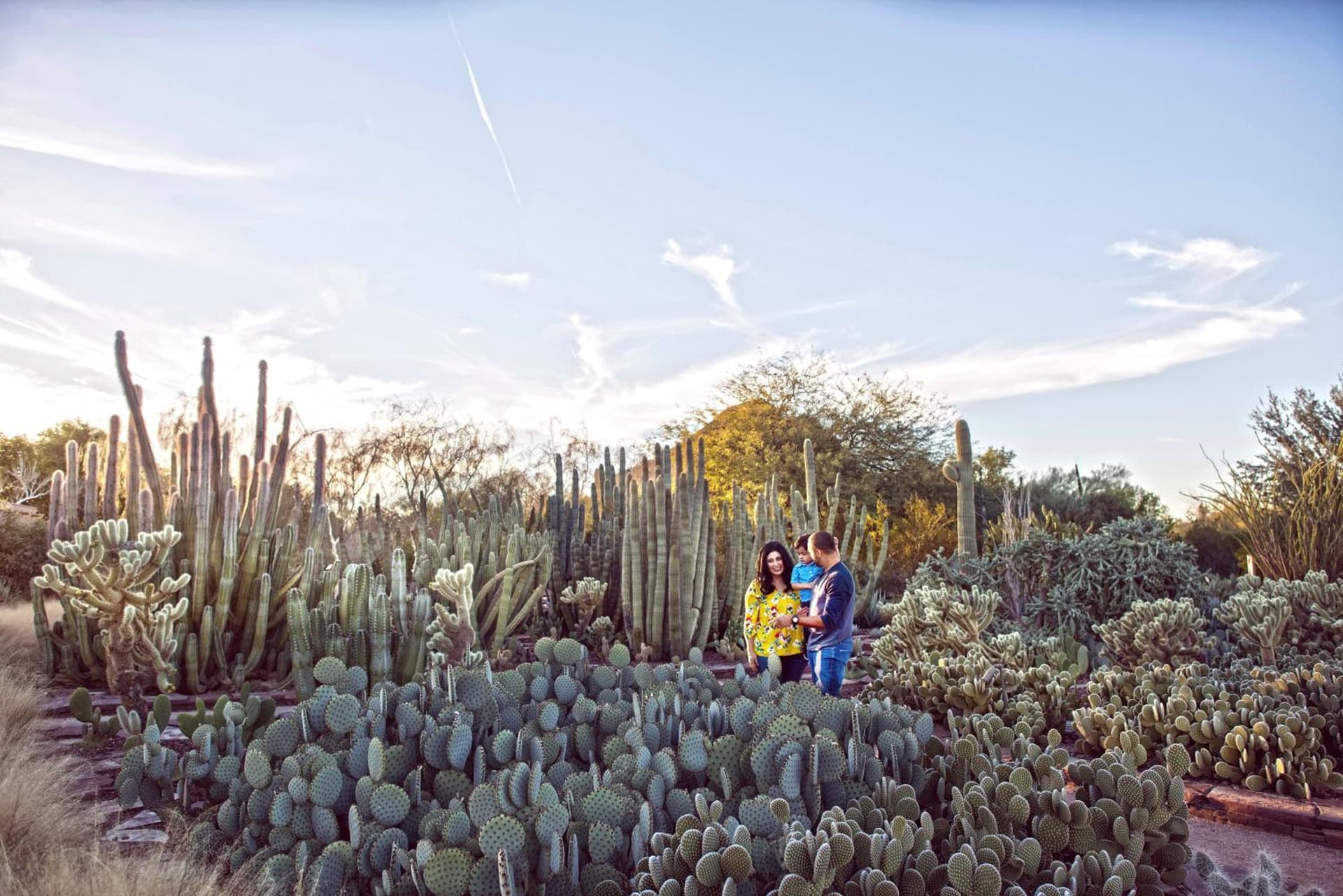 Holiday Inn Express & Suites - Phoenix - Airport North by IHG gallery photo in Phoenix, AZ — image 22
