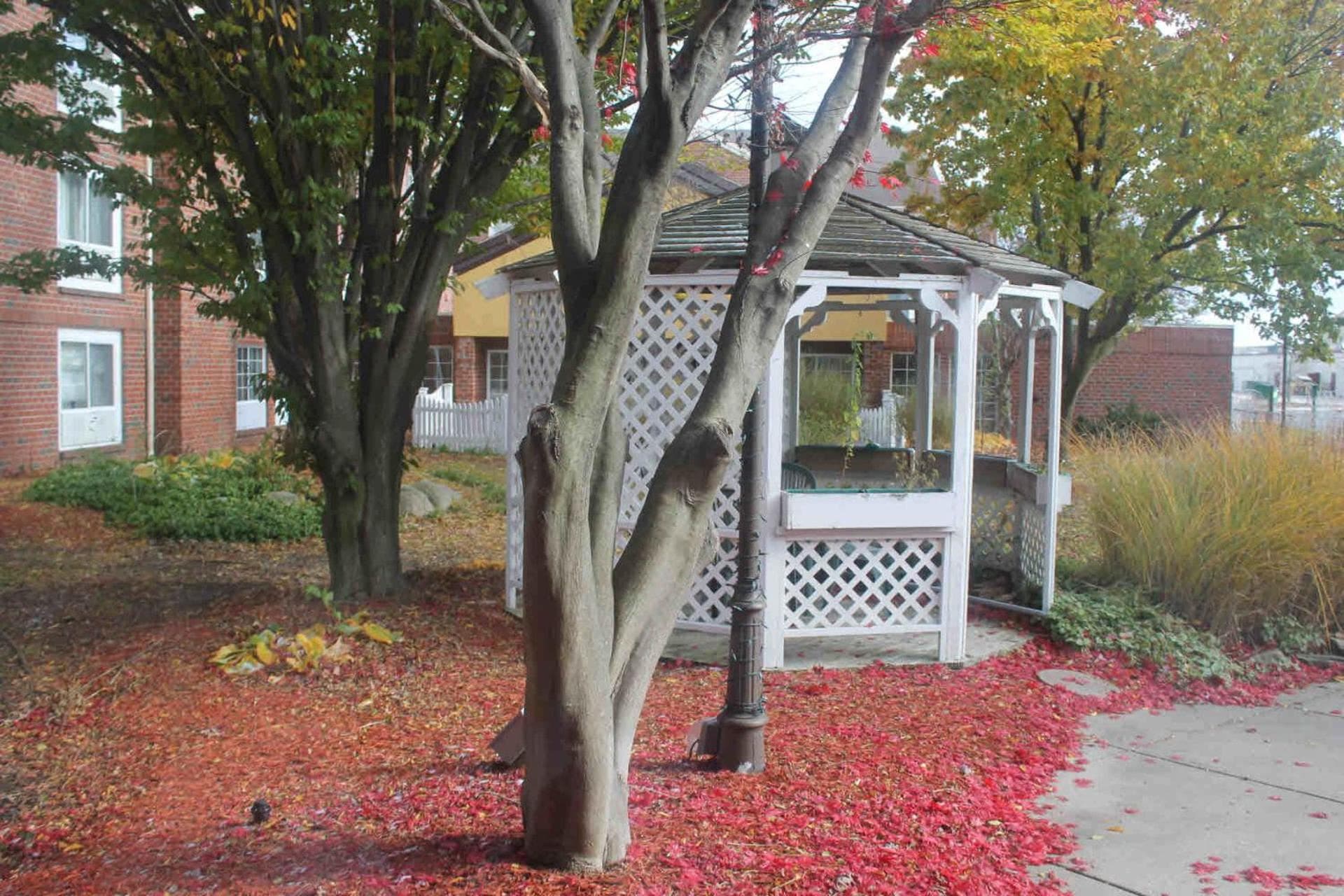 Wyndham Garden Grand Rapids Airport gallery photo in Grand Rapids, MI — image 60
