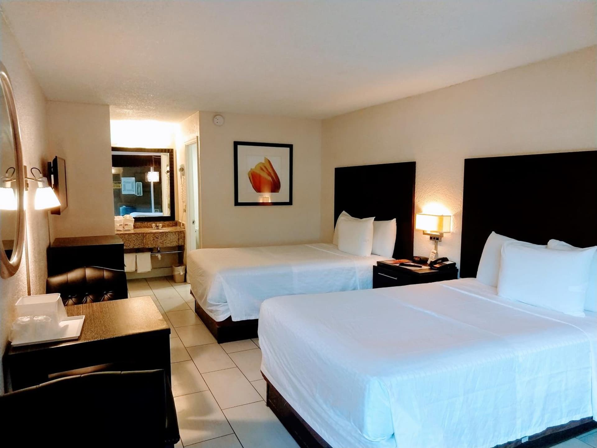 Red Carpet Inn Airport and Cruise Port Hotel Fort Lauderdale gallery photo in Fort Lauderdale, FL — image 18