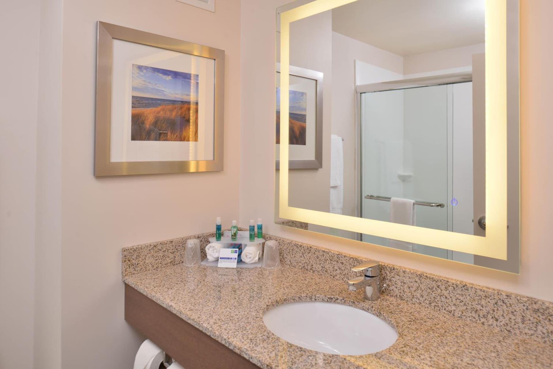 Holiday Inn Express & Suites Dearborn SW - Detroit Area by IHG gallery photo in Dearborn, MI — image 6