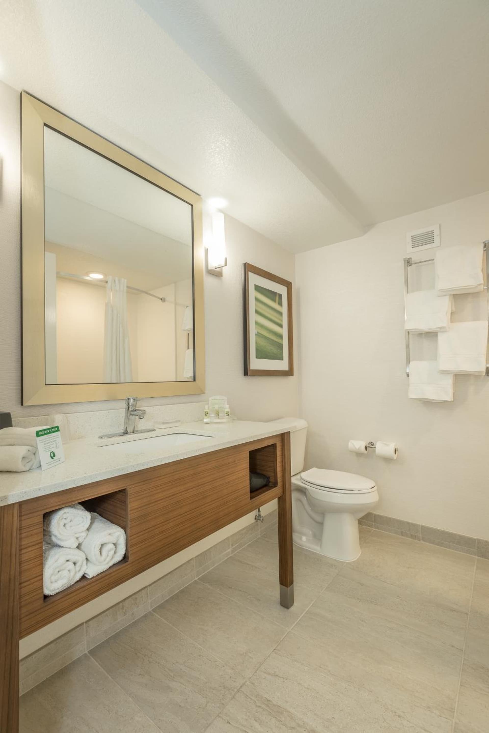 Holiday Inn Hotel and Suites Peachtree City by IHG property views in Peachtree City, GA — gallery photo 3