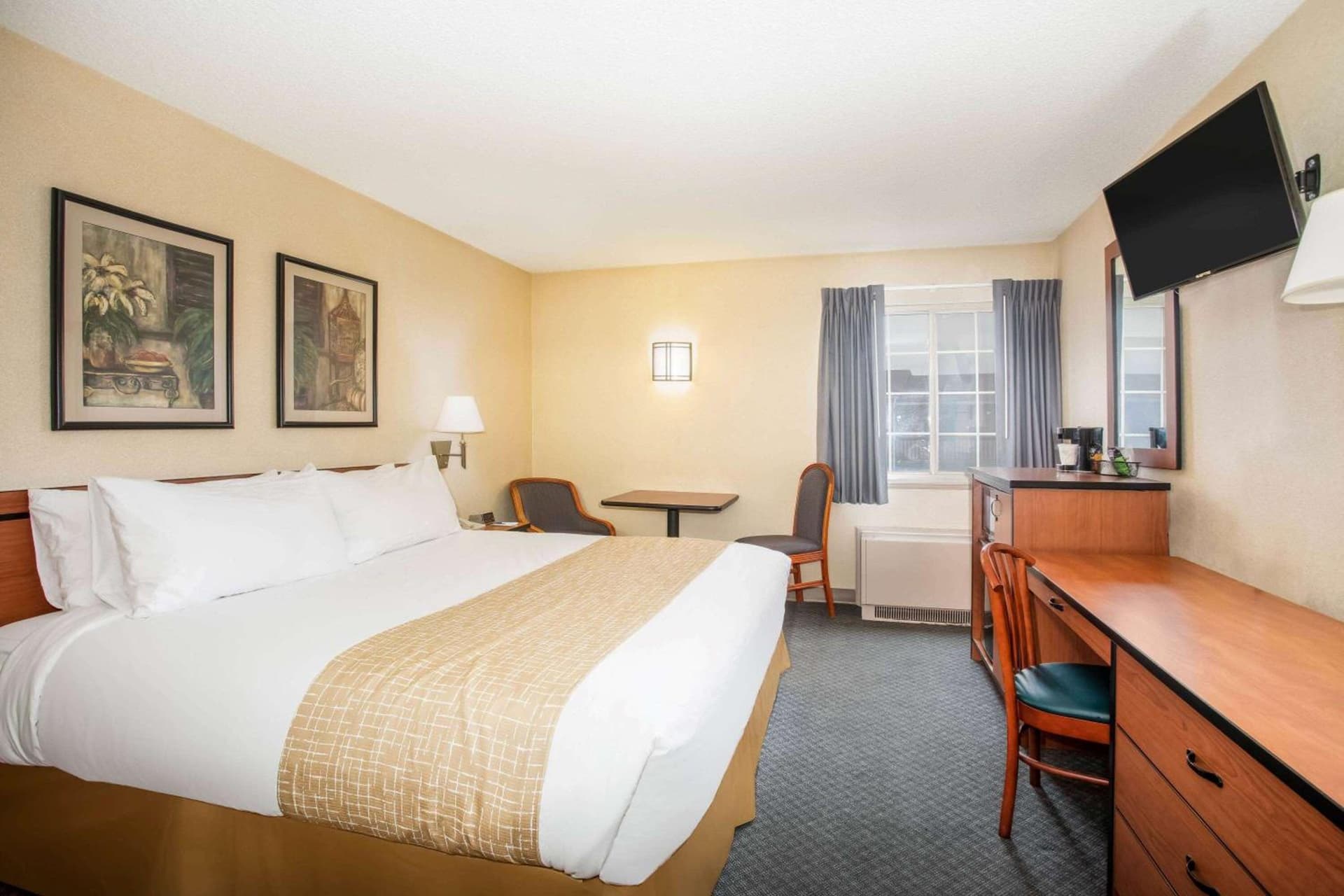 Travelodge by Wyndham Colorado Springs Airport - Peterson SFB gallery photo in Colorado Springs, CO — image 6