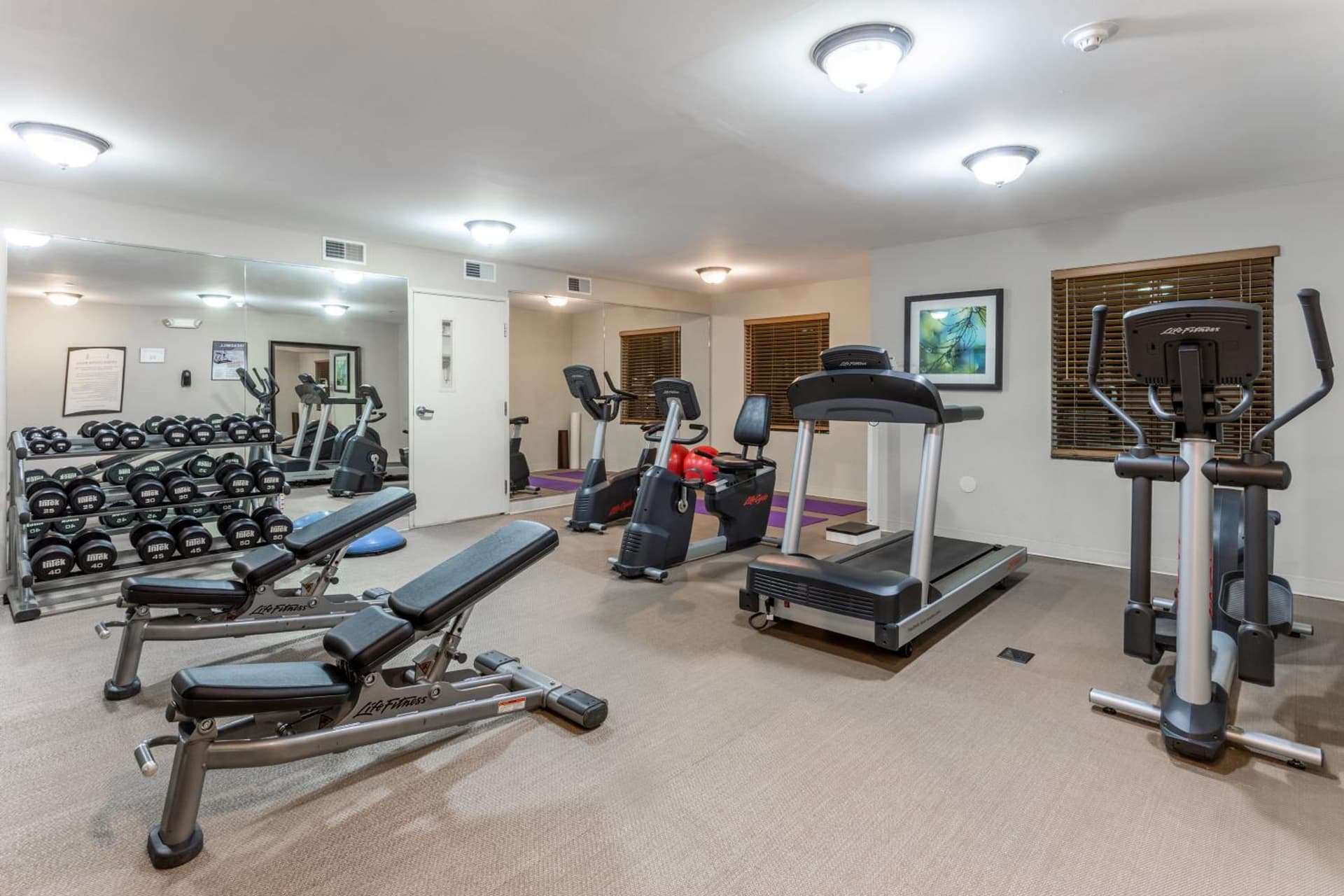 Staybridge Suites Davenport by IHG gallery photo in Bettendorf, IA — image 30