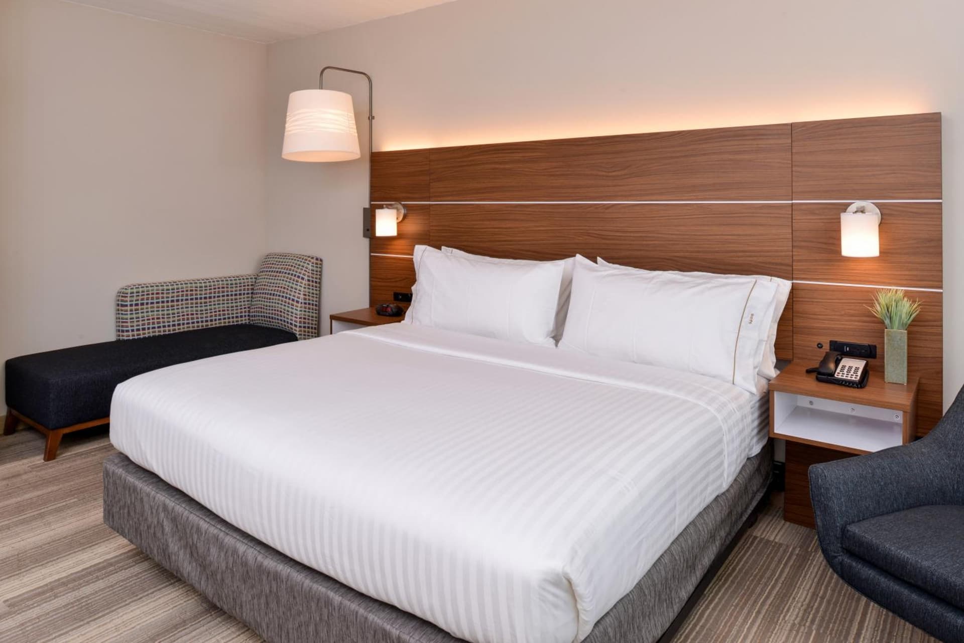 Holiday Inn Express & Suites - St. Petersburg - Madeira Beach by IHG gallery photo in St Petersburg, FL — image 48
