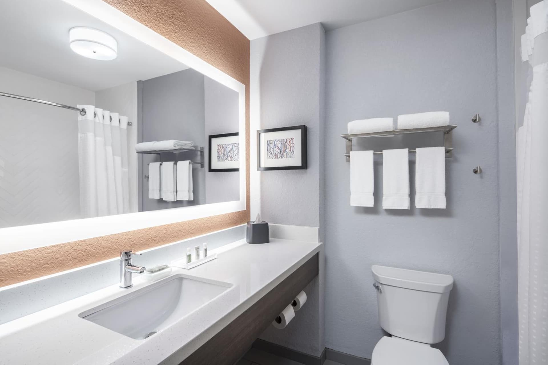 Holiday Inn Odessa by IHG gallery photo in Odessa, TX — image 39